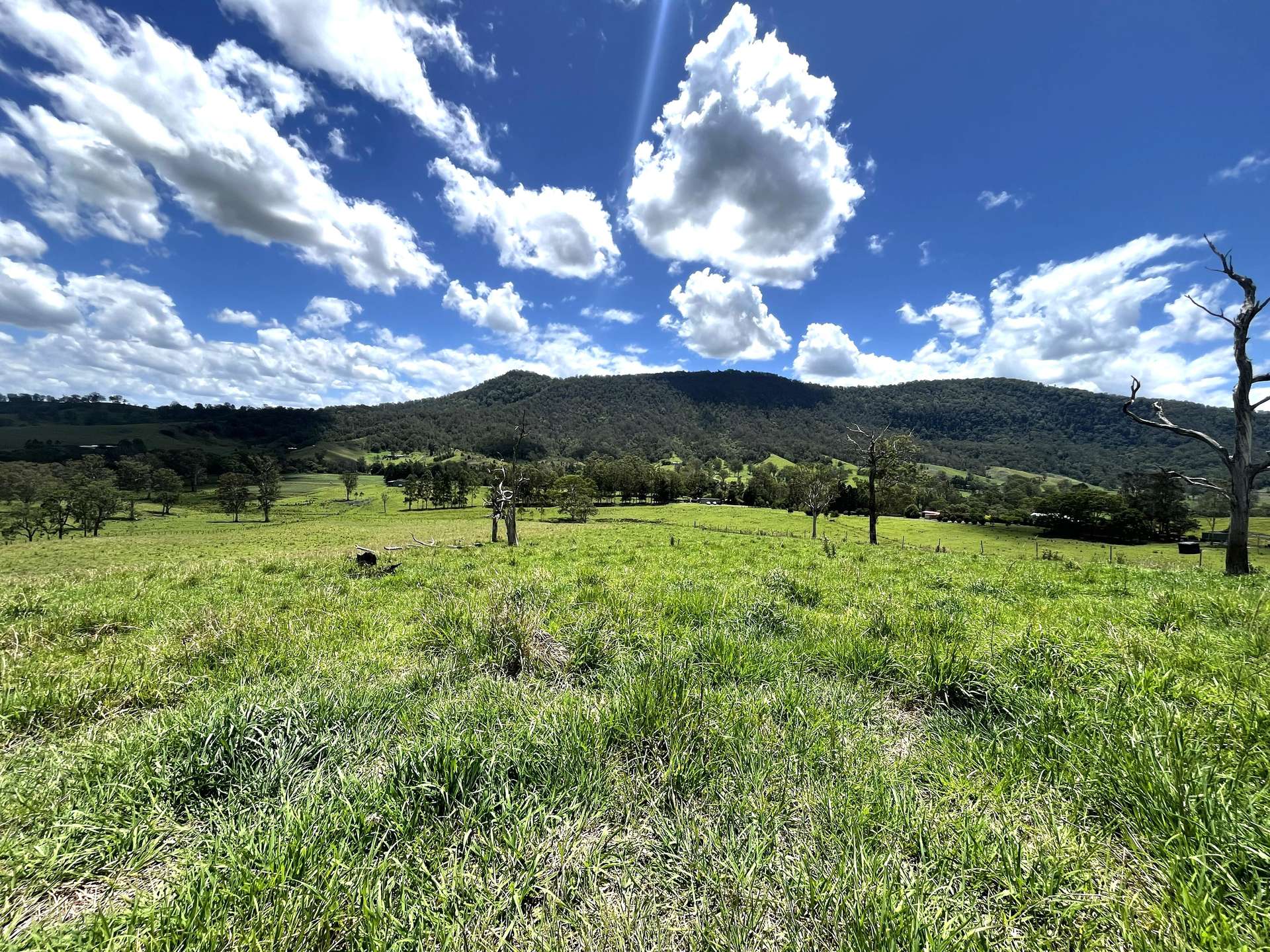 Lot 481 Sherwoods Rd, Kyogle For Sale by Farmbuy.com - image 2