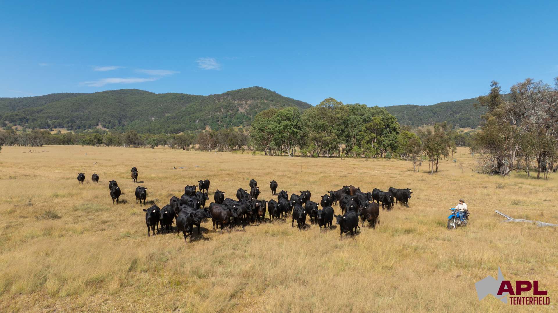 1696 And 1799 New England Highway, Jennings Sold by Farmbuy.com - image 18