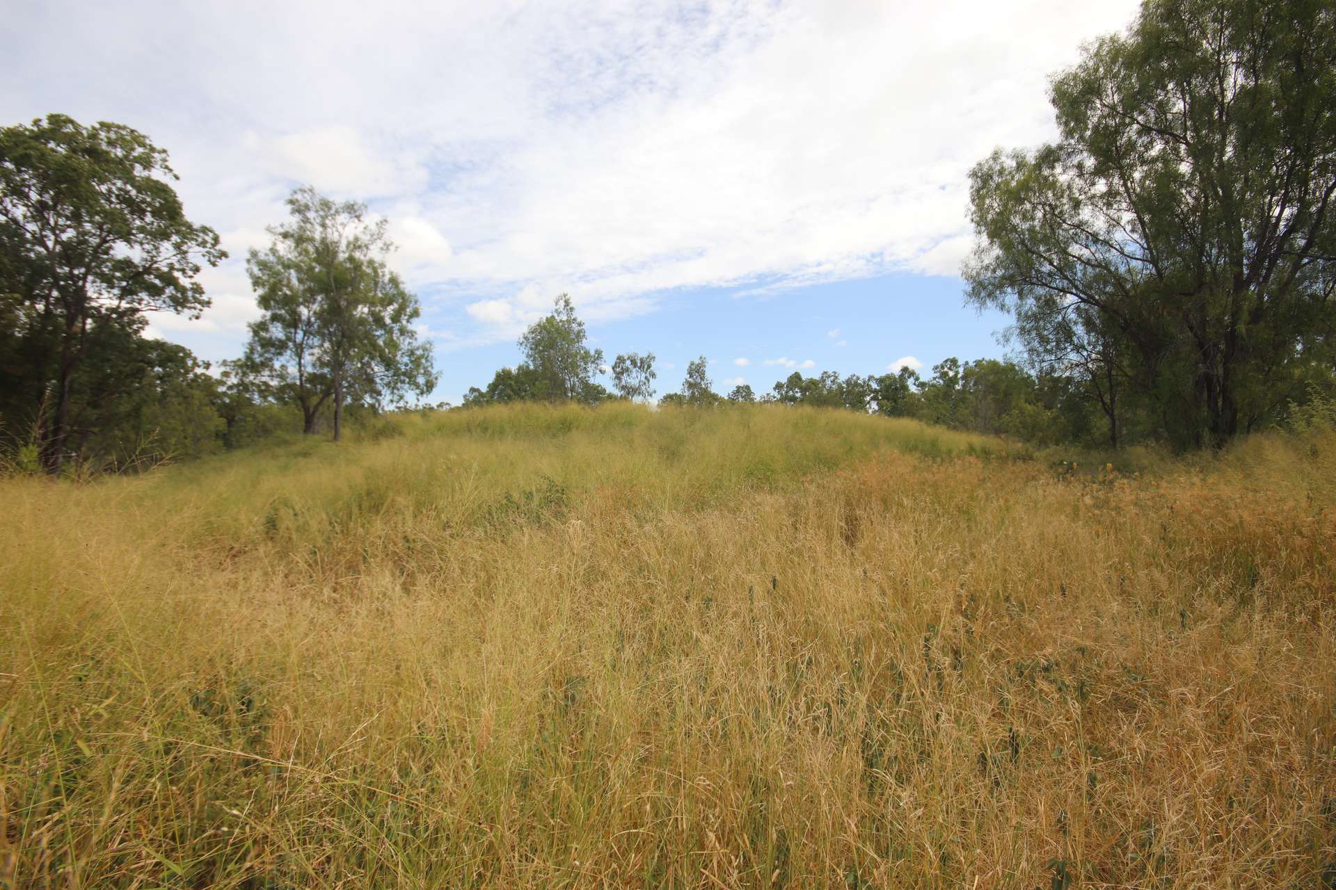 3 Short Street, Gayndah For Sale by Farmbuy.com - image 5