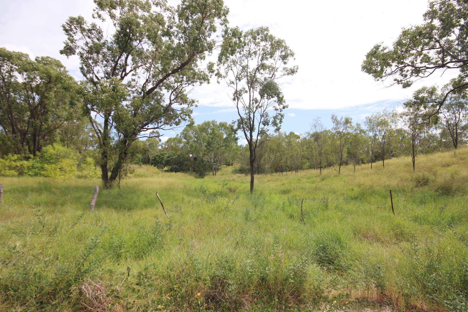 3 Short Street, Gayndah For Sale by Farmbuy.com - image 4