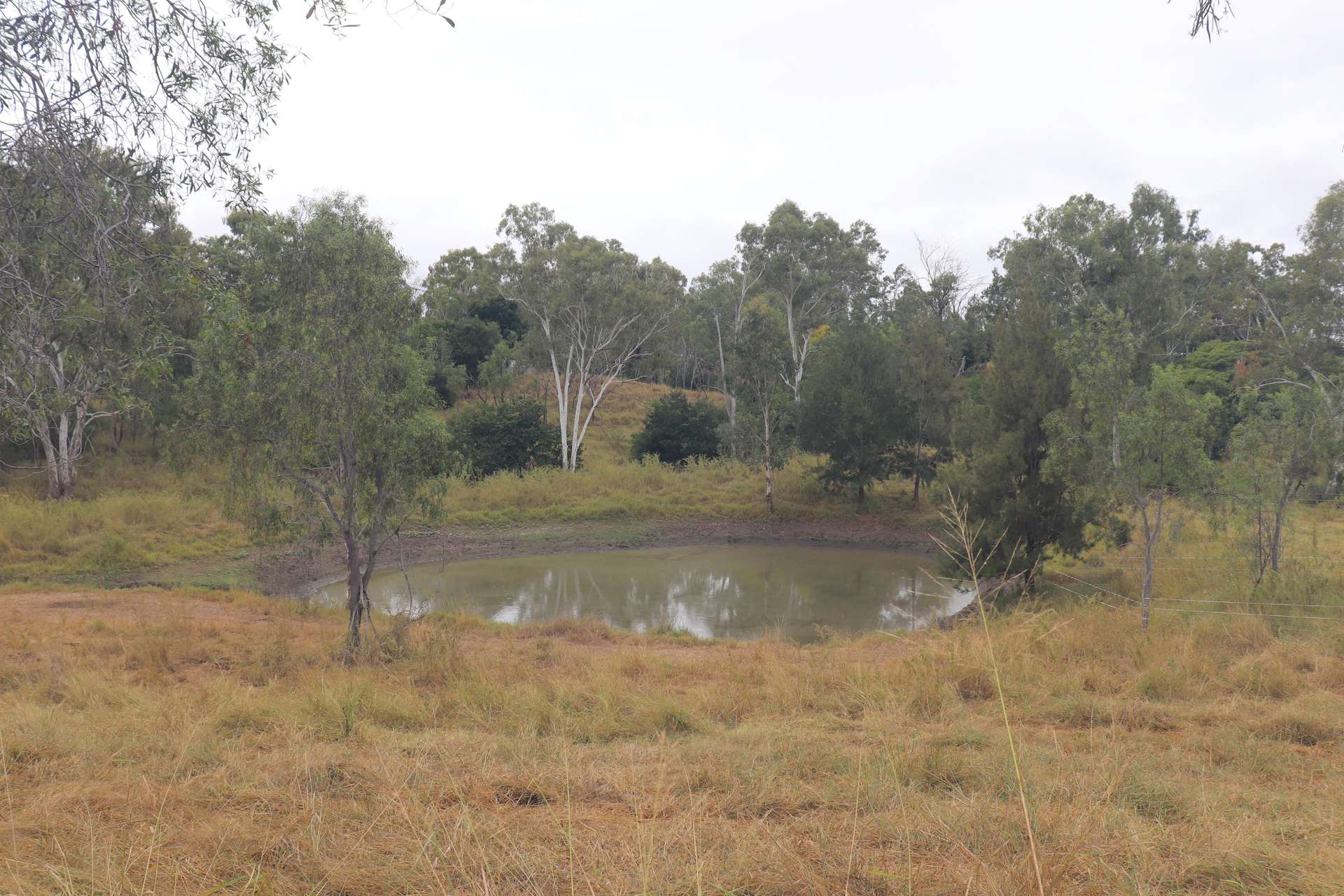 3 Short Street, Gayndah For Sale by Farmbuy.com - image 3
