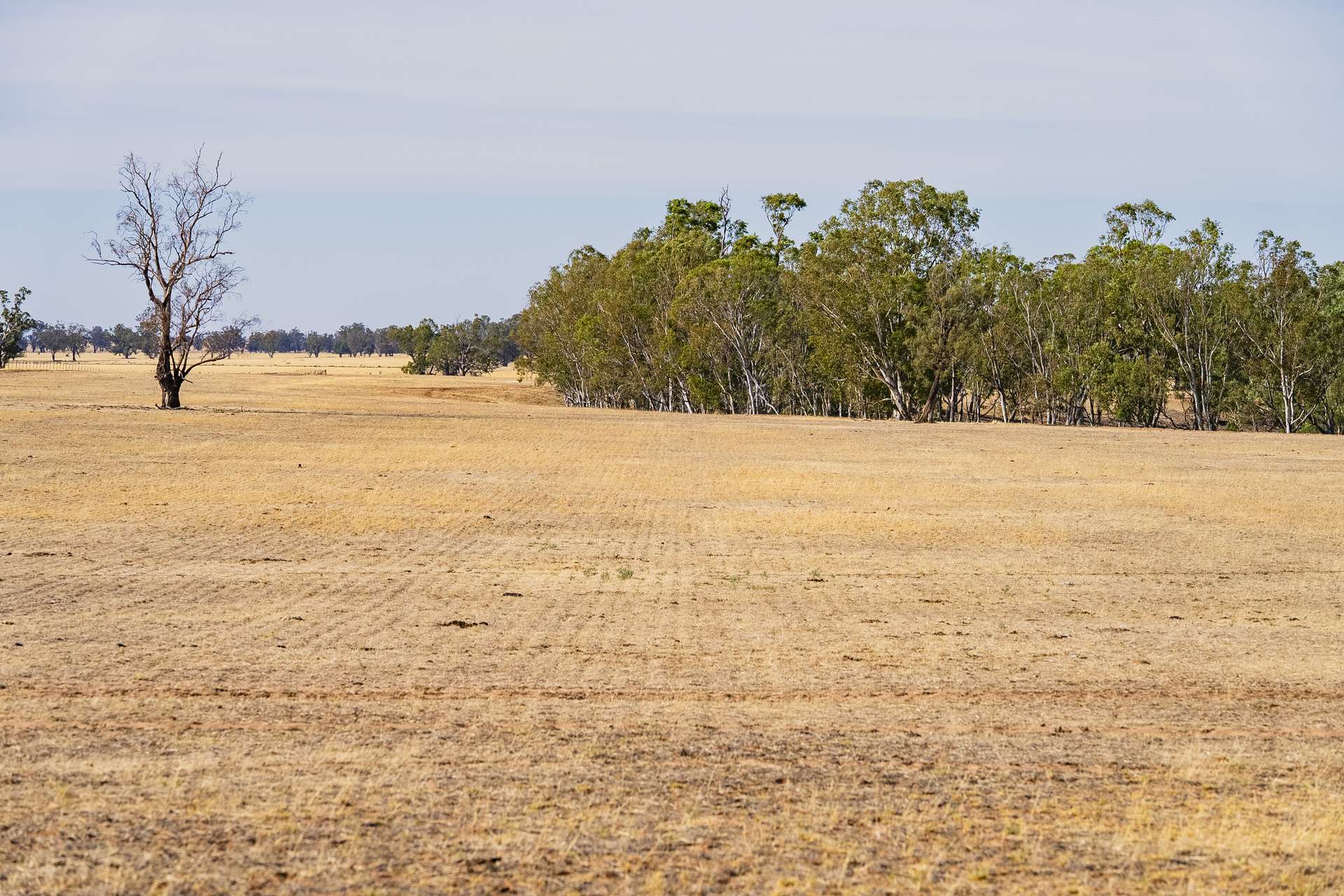 1152 Central Island Road, Galore For Sale by Farmbuy.com - image 14