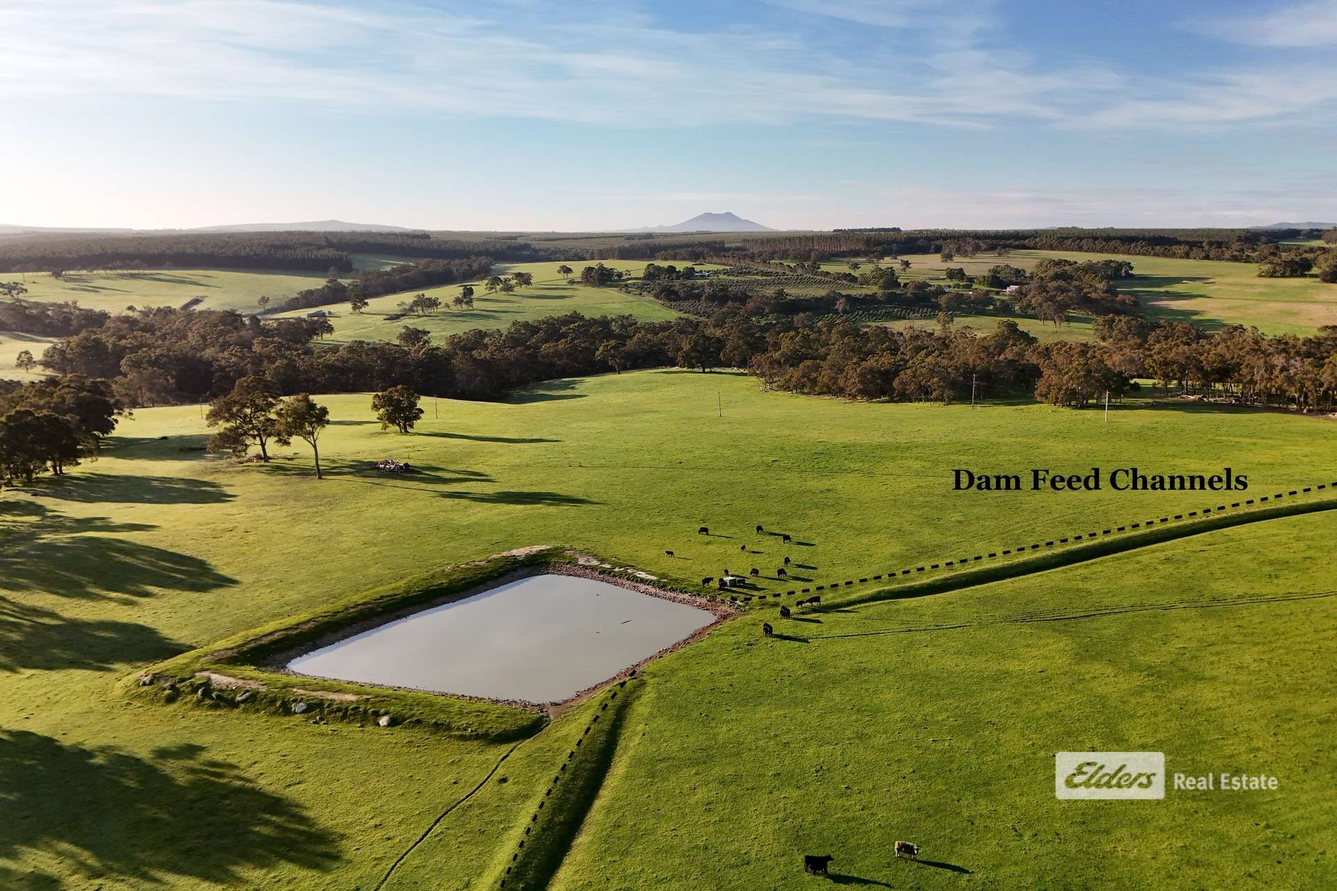456 Takenup Road, Napier For Sale by Farmbuy.com - image 4