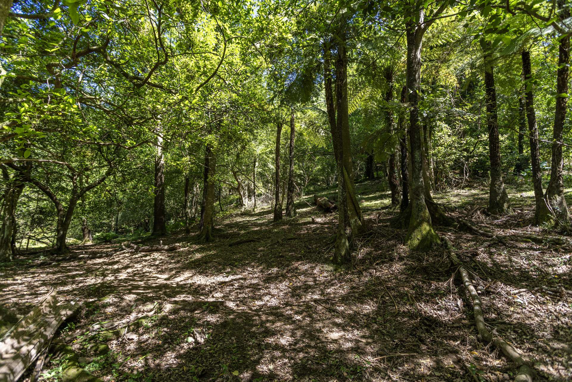 'Franks Farm' Lots 127-129 Free Selectors Road, Foxground For Sale by Farmbuy.com - image 17