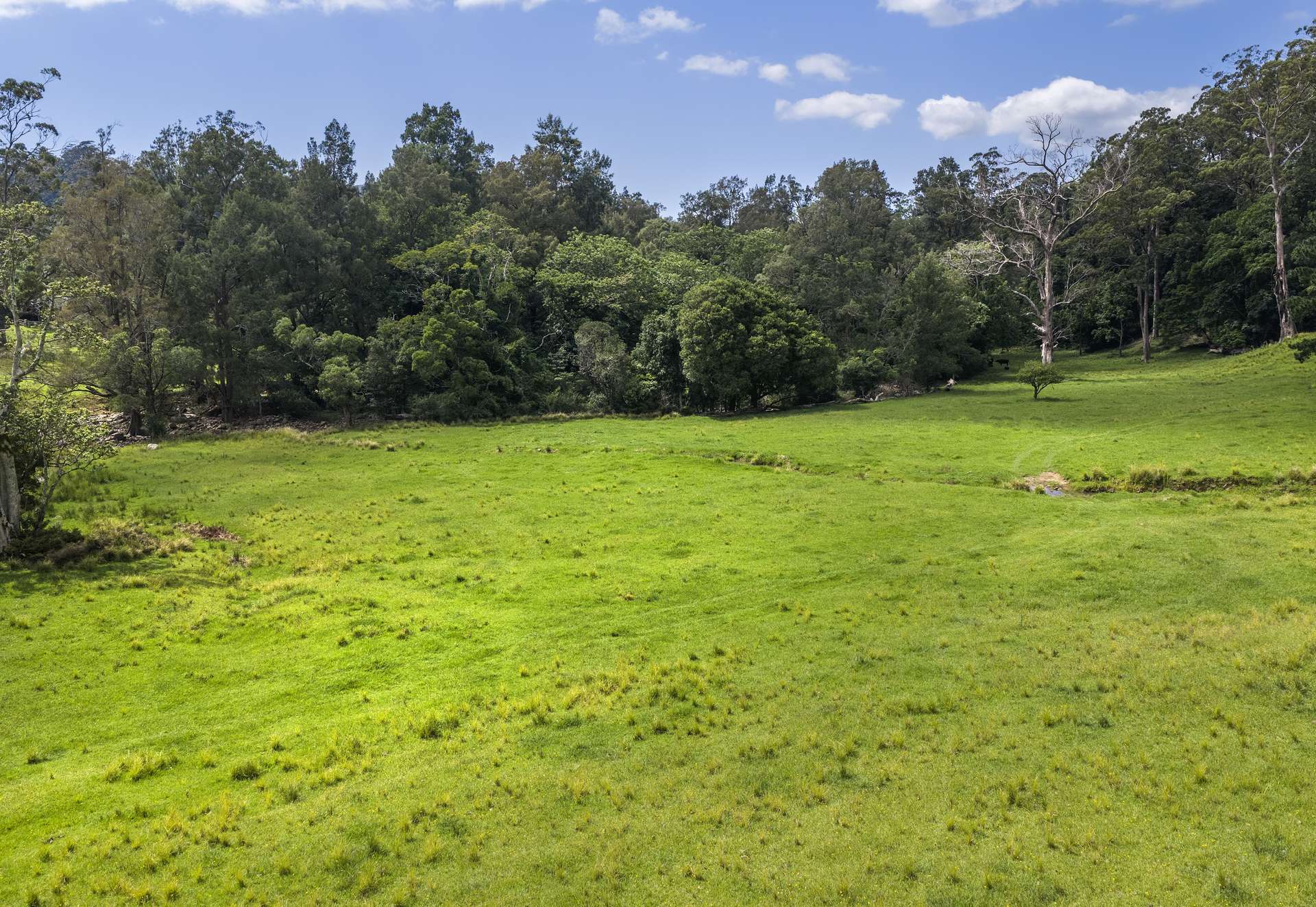 'Franks Farm' Lots 127-129 Free Selectors Road, Foxground For Sale by Farmbuy.com - image 19