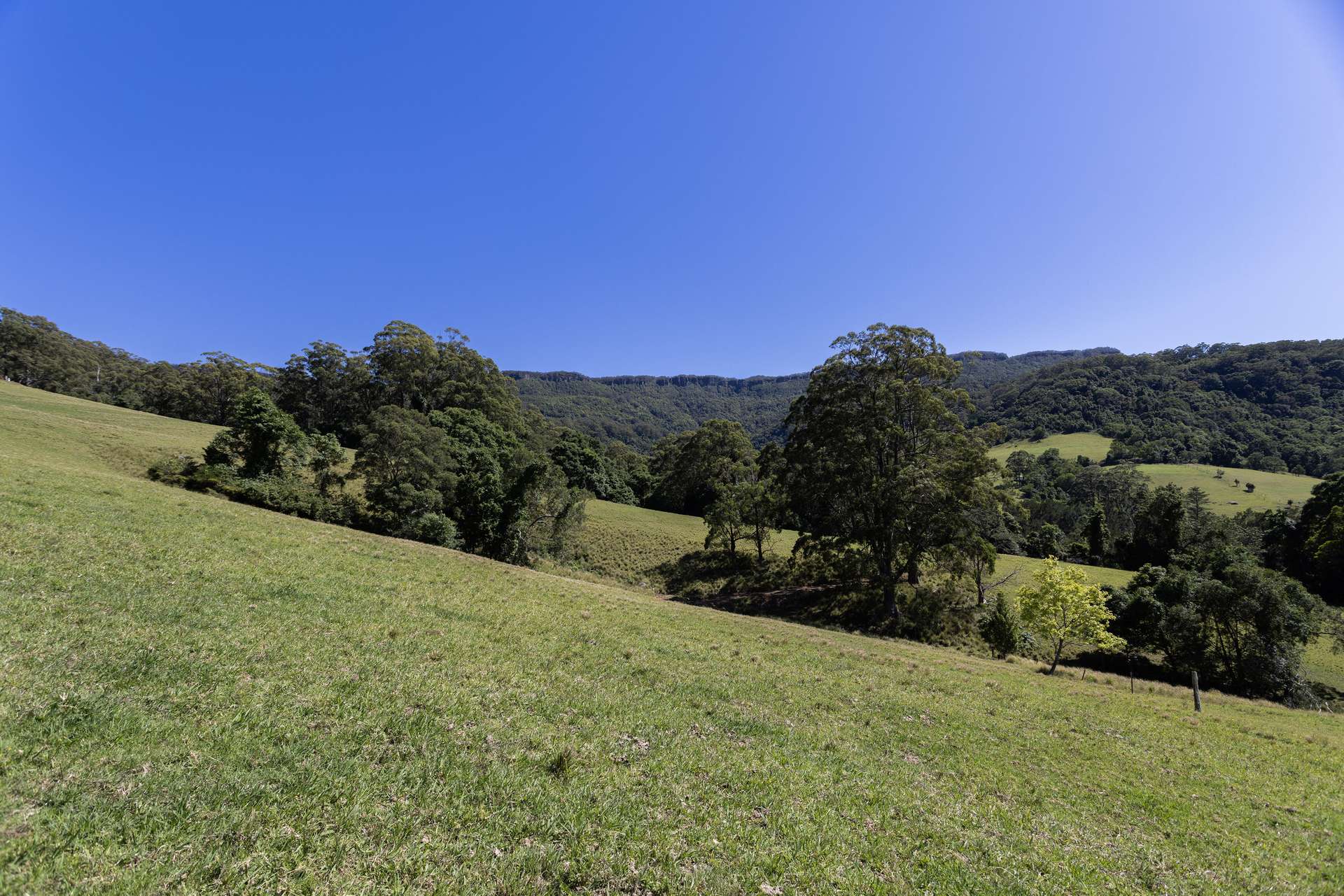 'Franks Farm' Lots 127-129 Free Selectors Road, Foxground For Sale by Farmbuy.com - image 9