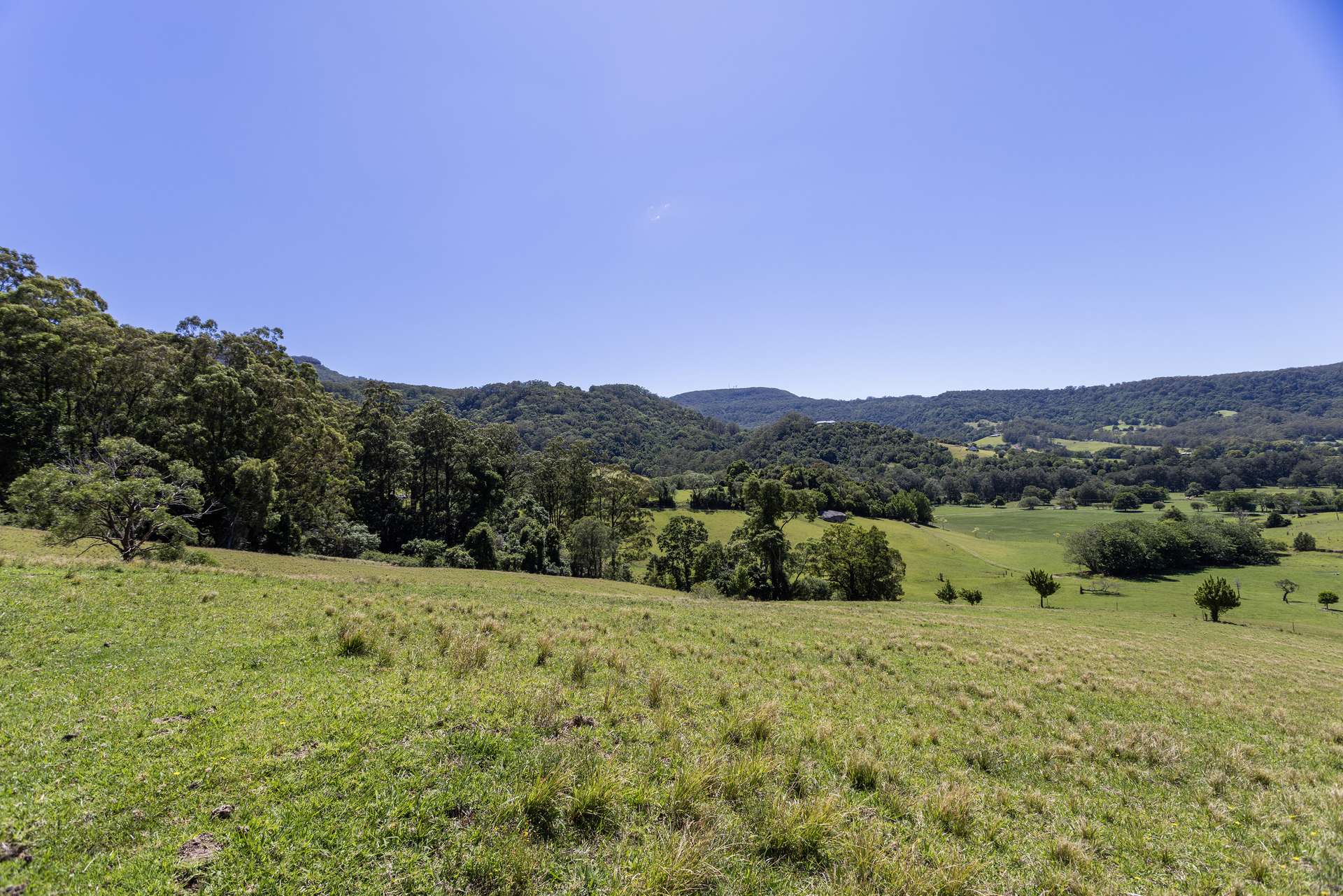 'Franks Farm' Lots 127-129 Free Selectors Road, Foxground For Sale by Farmbuy.com - image 15