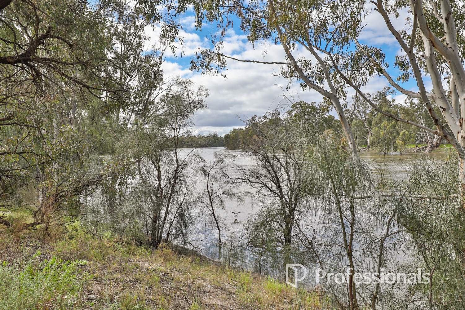 45 Regent Drive, Colignan For Sale by Farmbuy.com - image 24