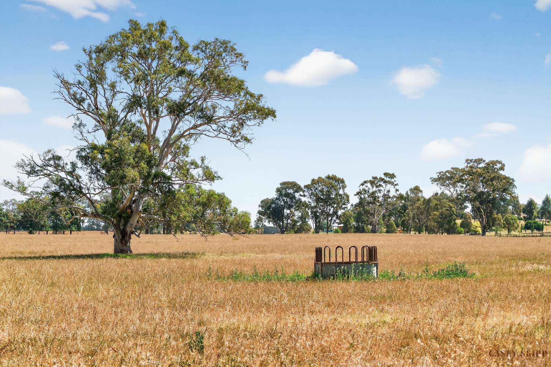 2/440 Nicholson-Sarsfield Road, Sarsfield For Sale by Farmbuy.com - image 3