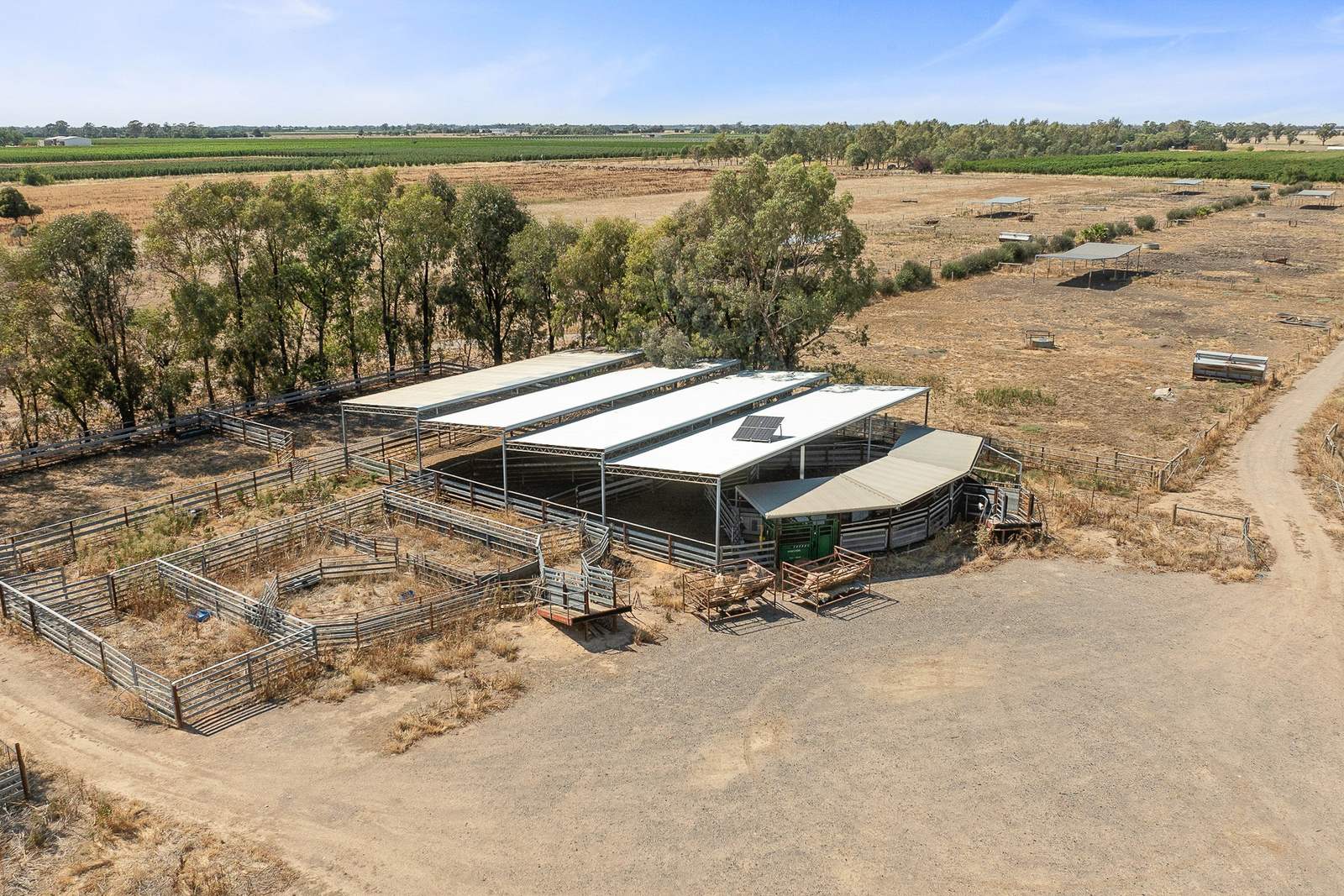 91-123 Cobram South Rd, Cobram For Sale by Farmbuy.com - image 25