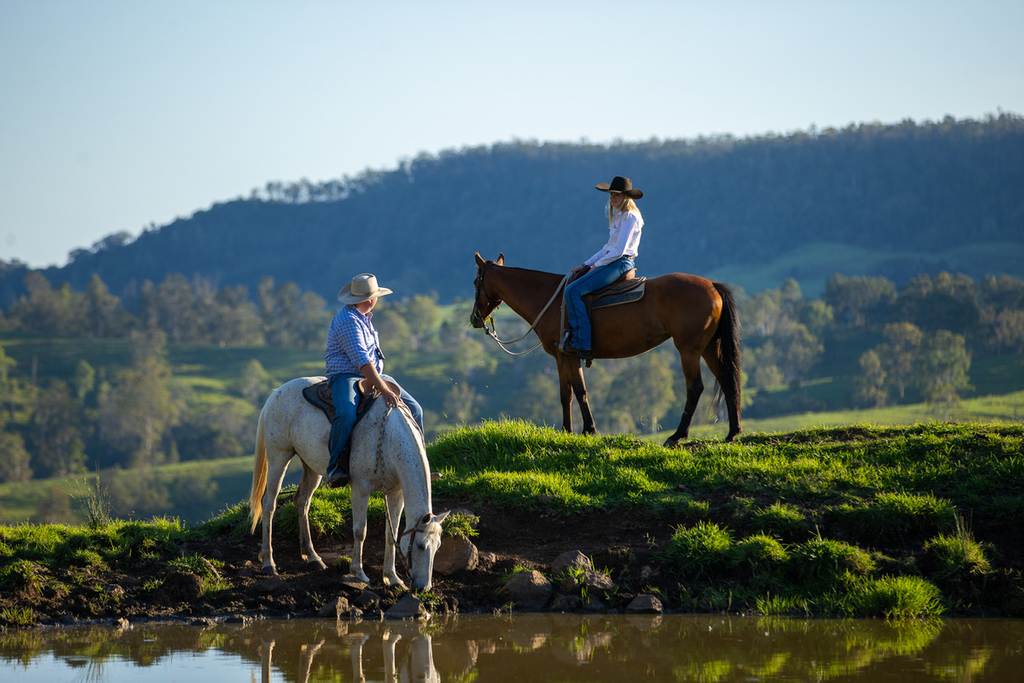 Bingeebeebra Creek, Mummulgum NSW 2469