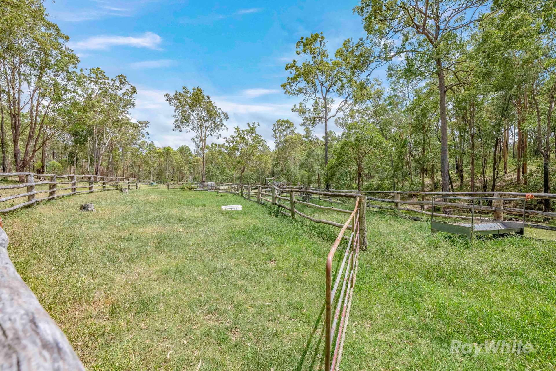 1300 Bania Road, Yarrol For Sale by Farmbuy.com - image 31