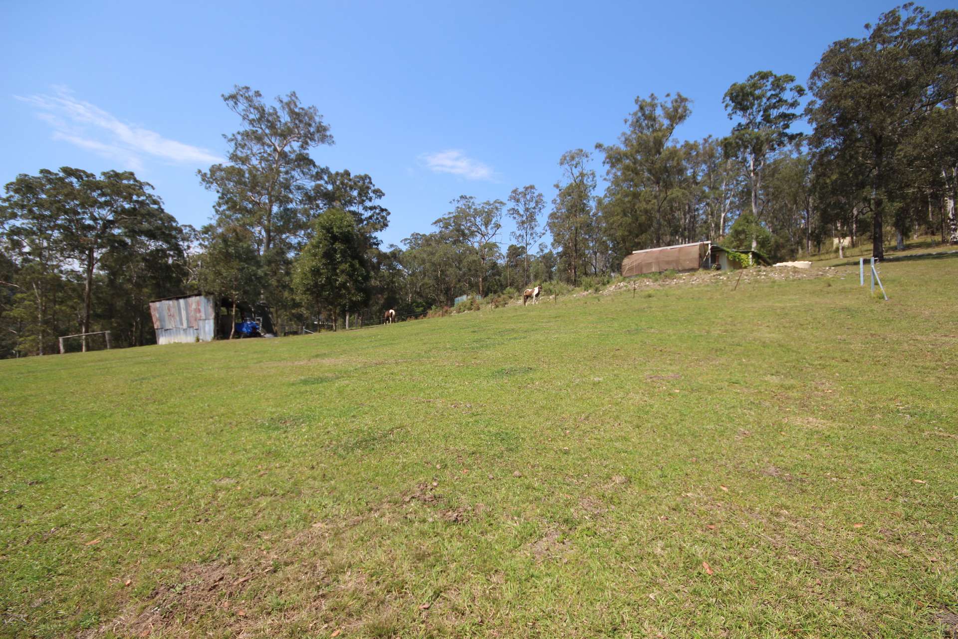 1085 Pappinbarra Road, Lower Pappinbarra For Sale by Farmbuy.com - image 20