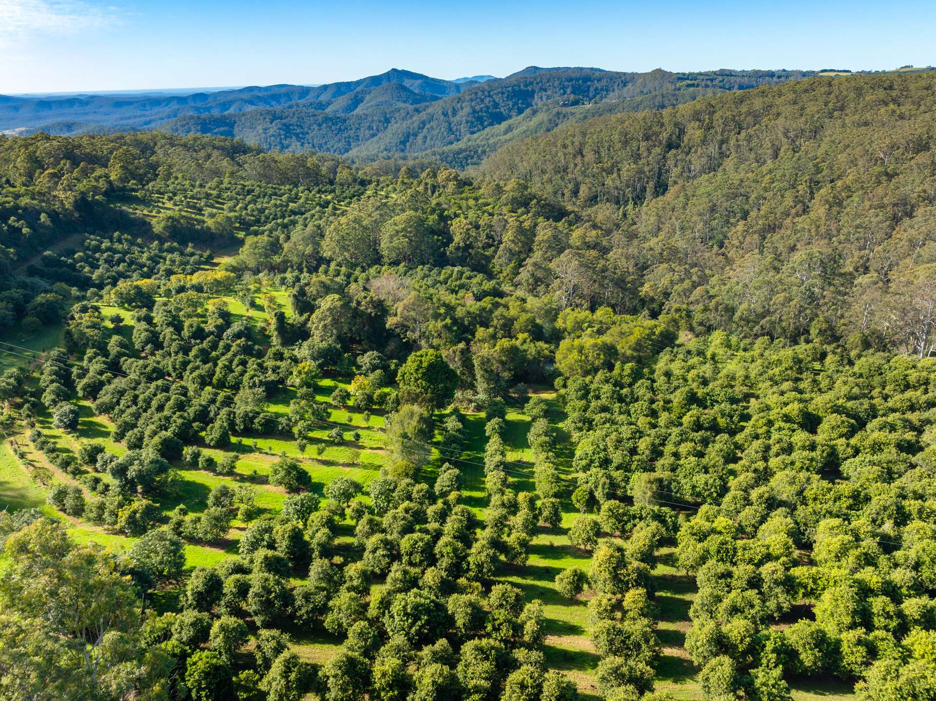 480 Ponsfords Road, Comboyne For Sale by Farmbuy.com - image 20
