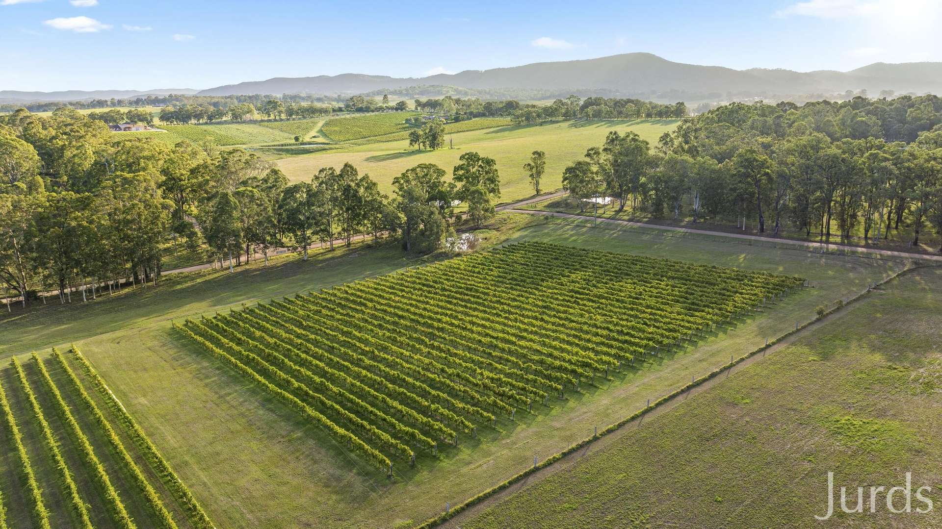 28 Racecourse Lane, Pokolbin For Sale by Farmbuy.com - image 3