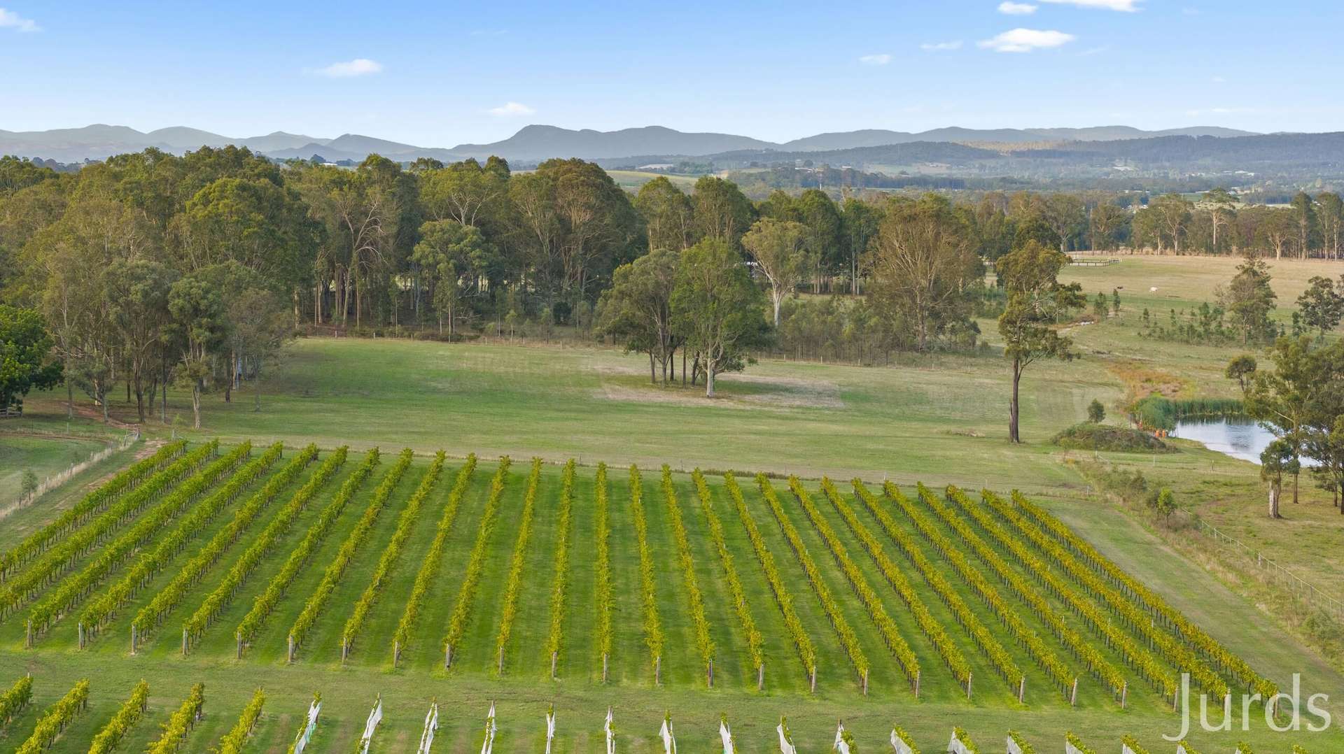 28 Racecourse Lane, Pokolbin For Sale by Farmbuy.com - image 31
