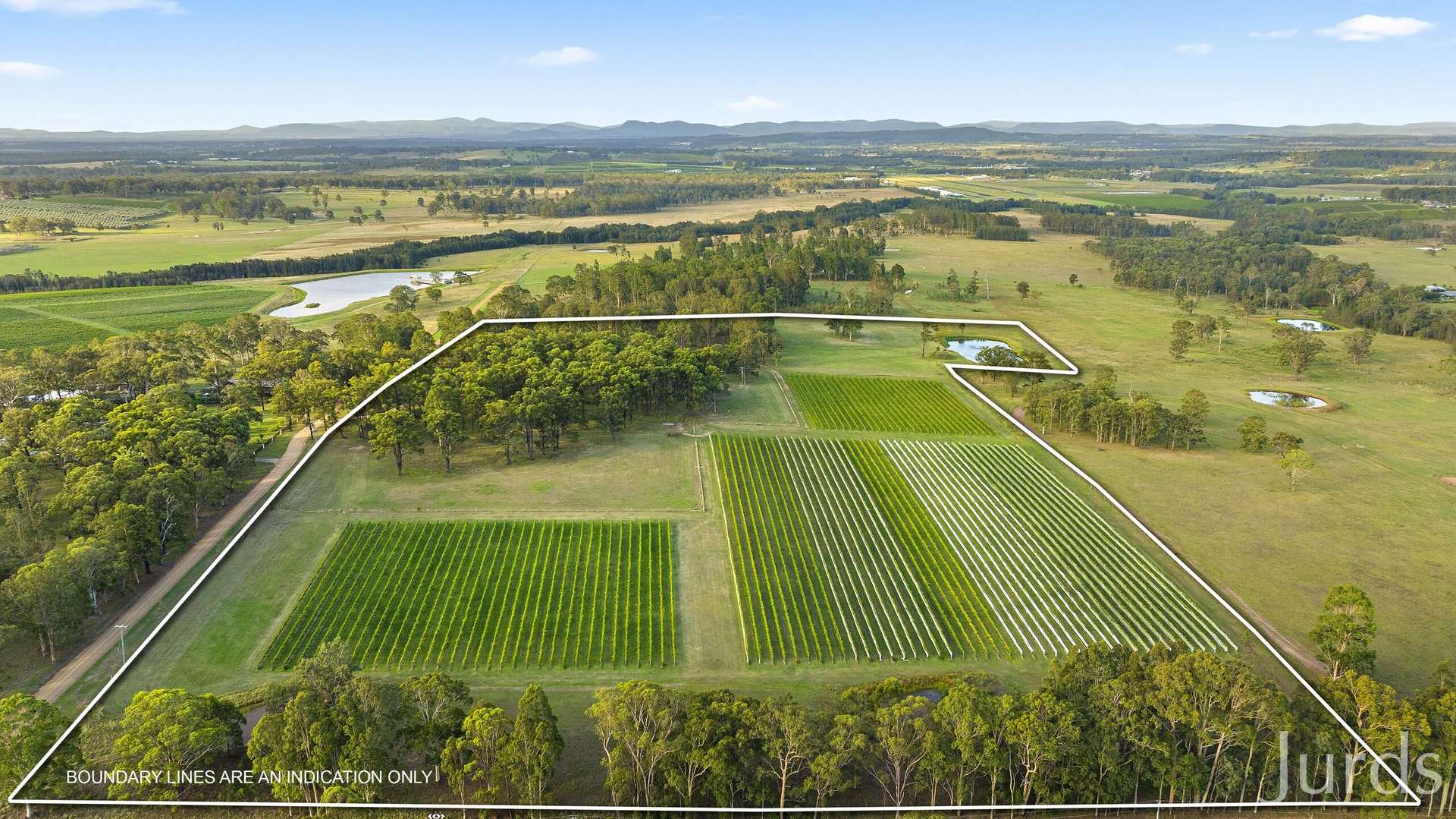 28 Racecourse Lane, Pokolbin For Sale by Farmbuy.com - image 4