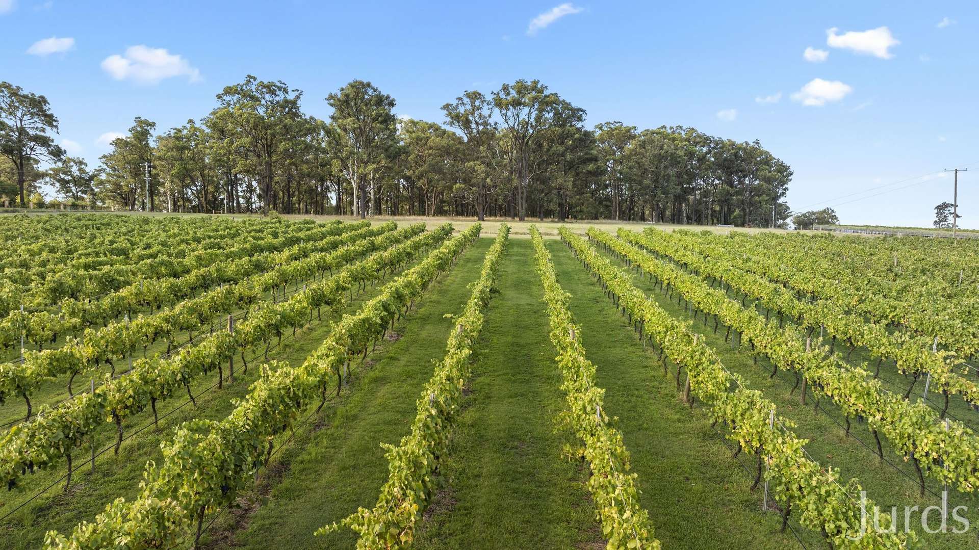 28 Racecourse Lane, Pokolbin For Sale by Farmbuy.com - image 25