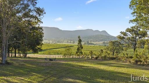 Farm For Sale - NSW - Pokolbin - 2320 - RACECOURSE LANE - HUNTER VALLEY WINE COUNTRY 