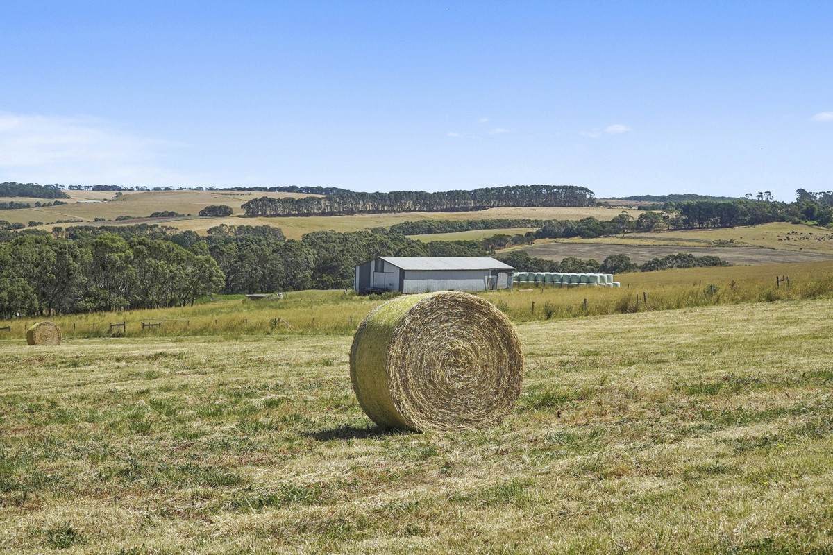 1940 Cobden-Port Campbell Road, Newfield For Sale by Farmbuy.com - image 24