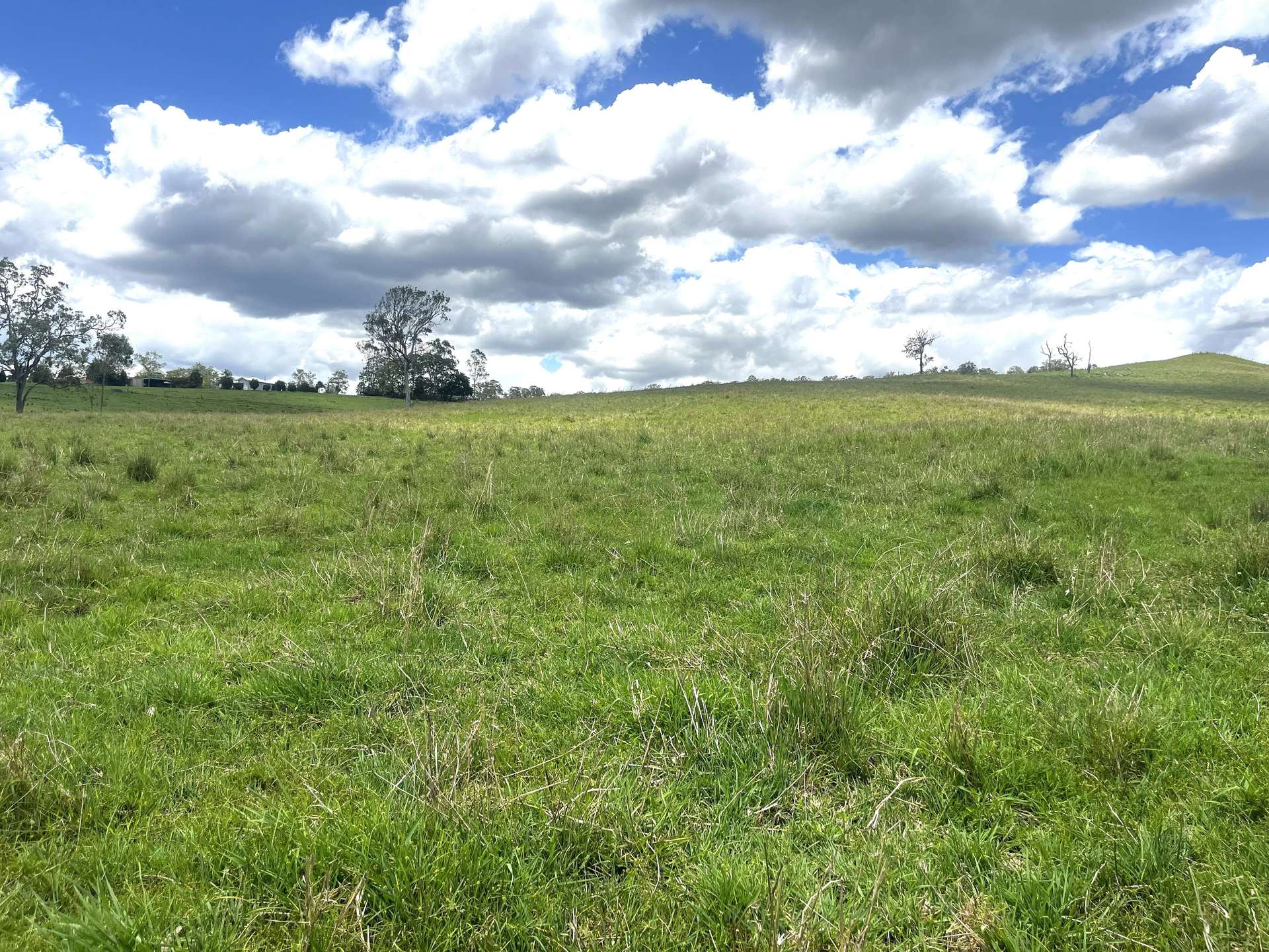 Lot 482 Sherwood Rd, Kyogle For Sale by Farmbuy.com - image 7