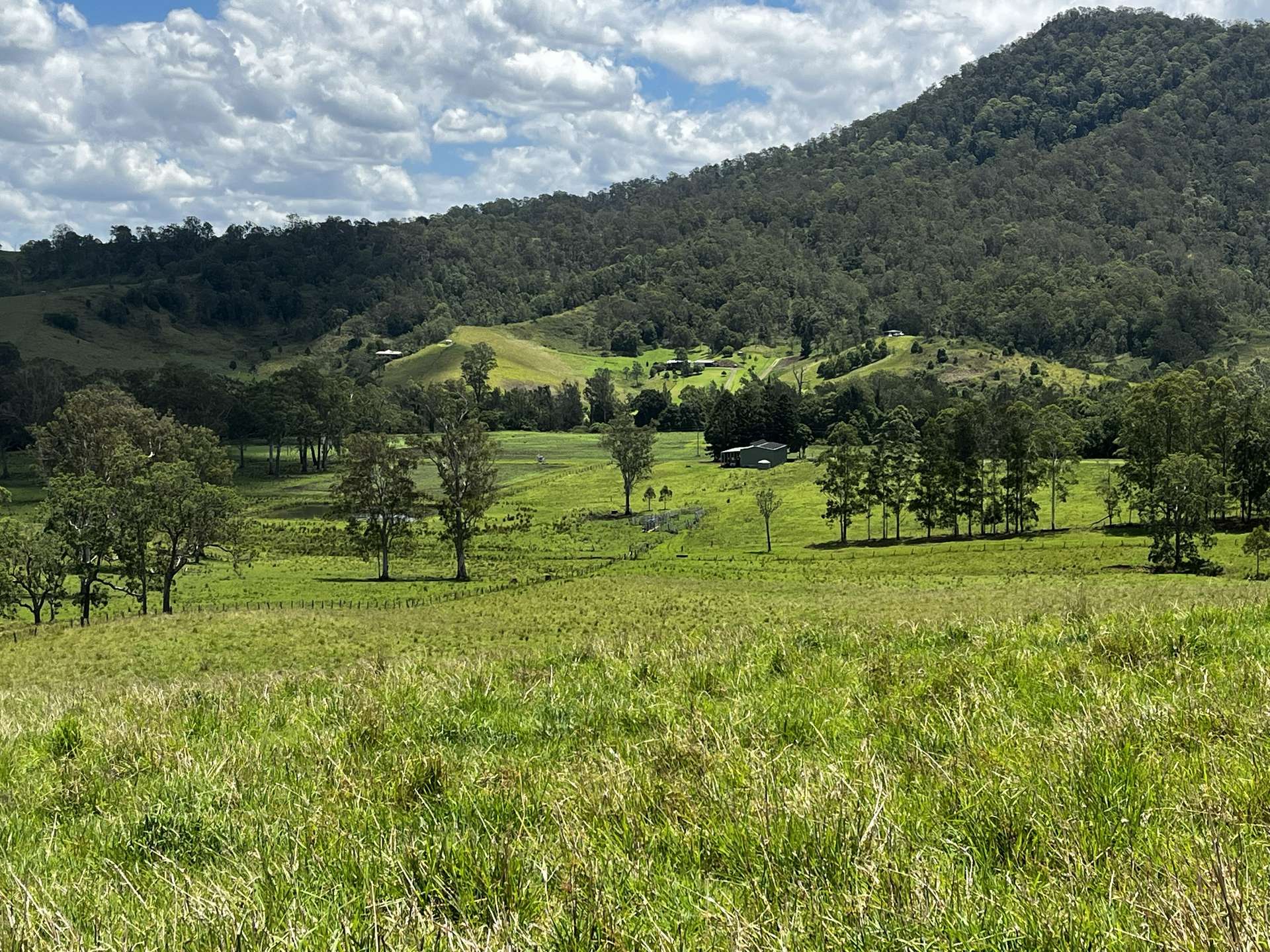 Lot 482 Sherwood Rd, Kyogle For Sale by Farmbuy.com - image 2