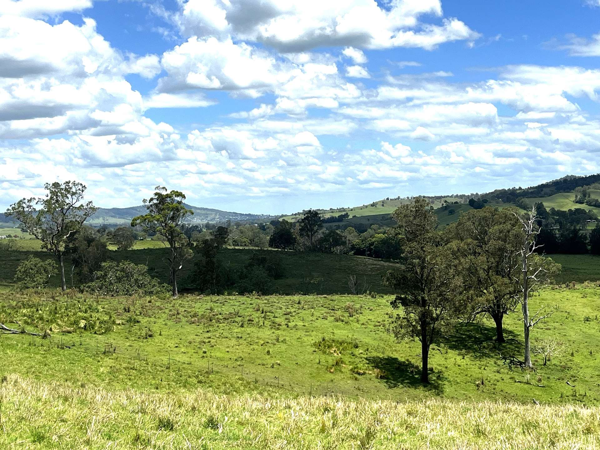 Lot 482 Sherwood Rd, Kyogle For Sale by Farmbuy.com - image 9