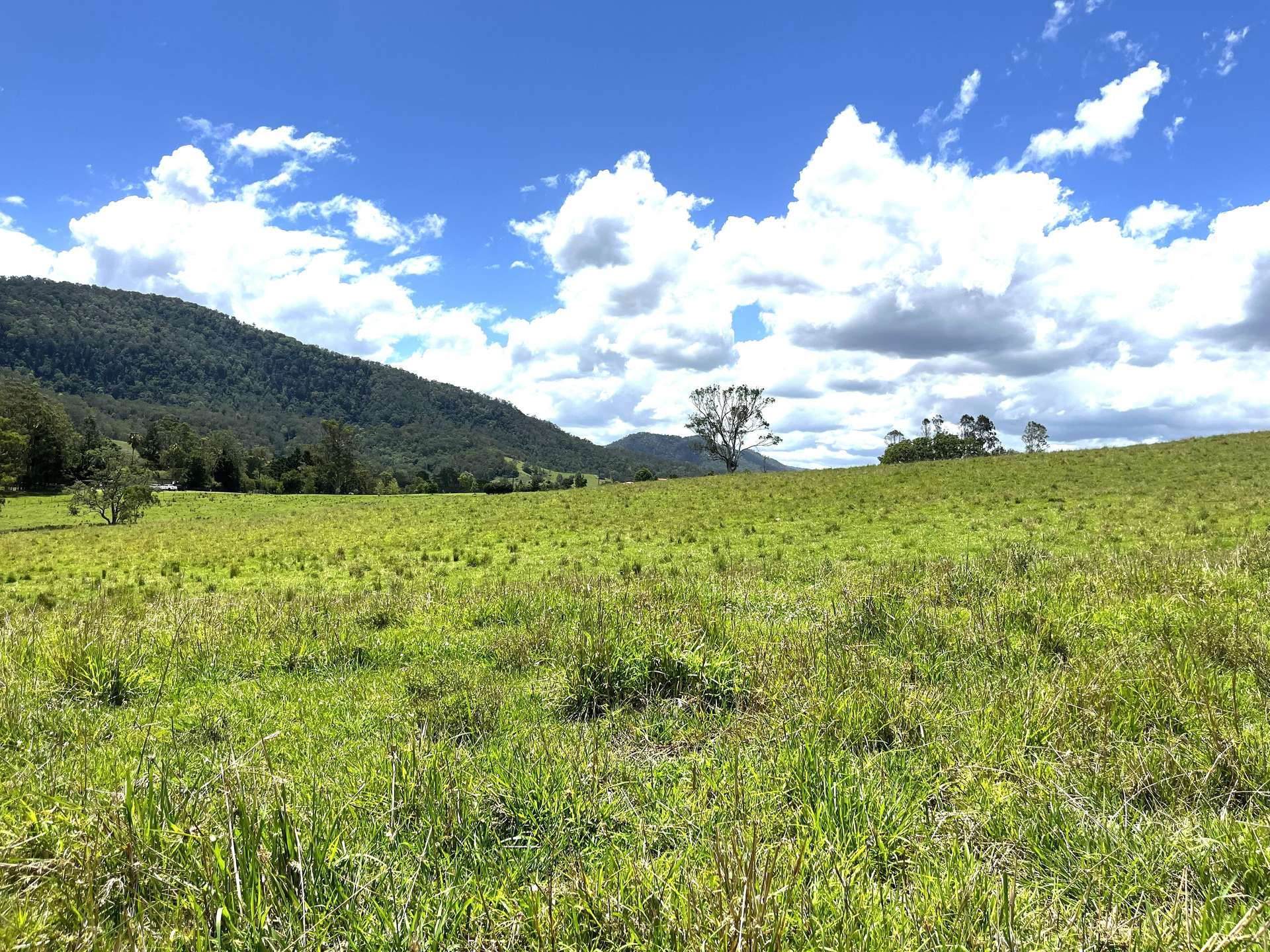 Lot 482 Sherwood Rd, Kyogle For Sale by Farmbuy.com - image 4