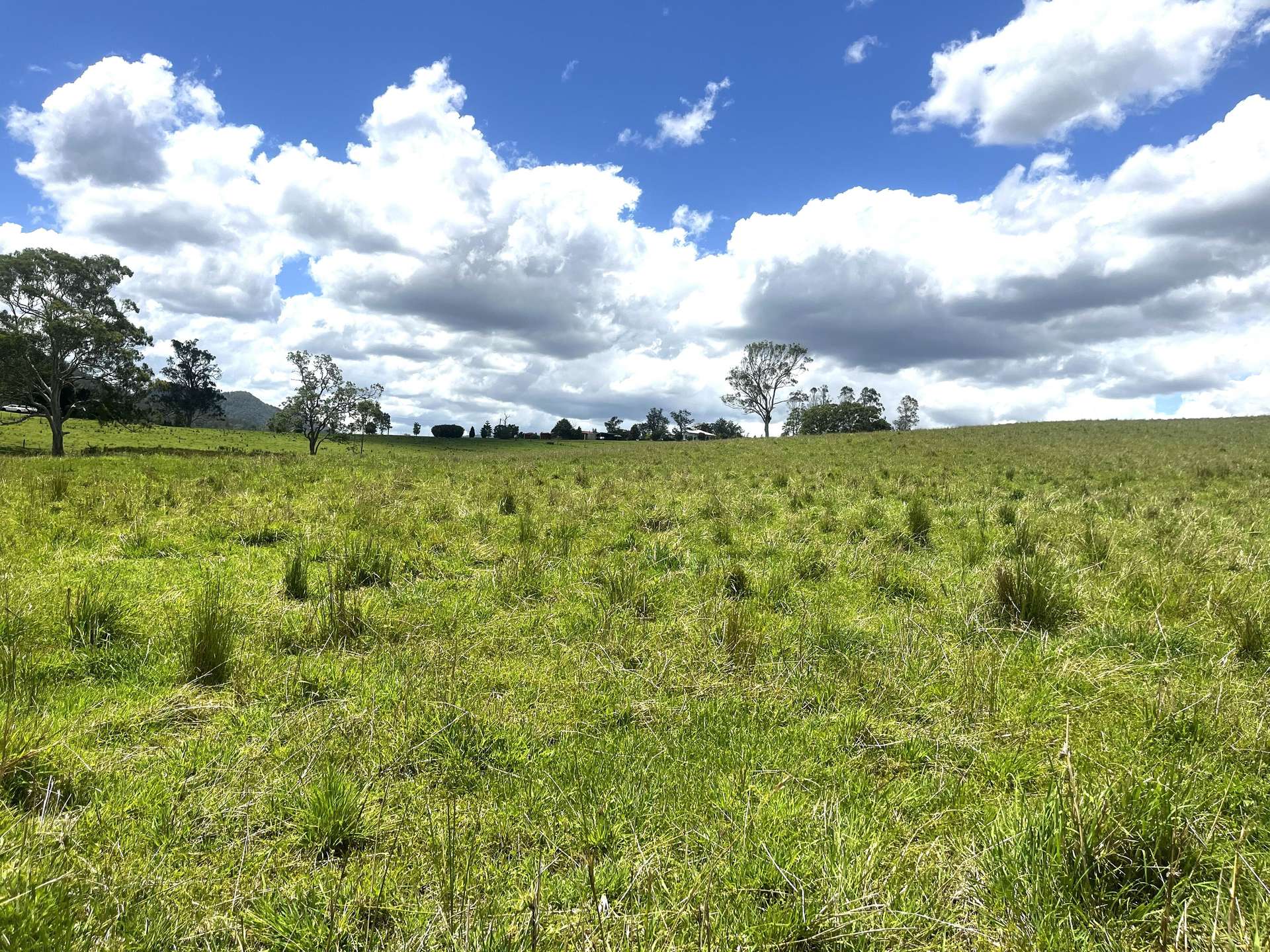 Lot 482 Sherwood Rd, Kyogle For Sale by Farmbuy.com - image 6