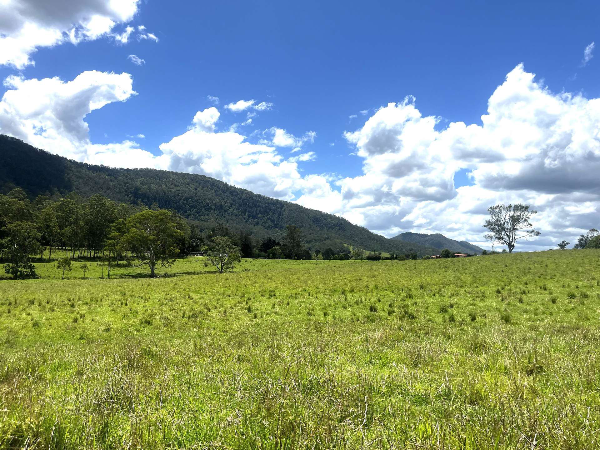 Lot 482 Sherwood Rd, Kyogle For Sale by Farmbuy.com - image 5