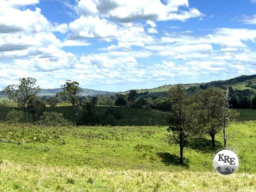 Farm For Sale - NSW - Kyogle - 2474 - TAKE YOUR PICK 