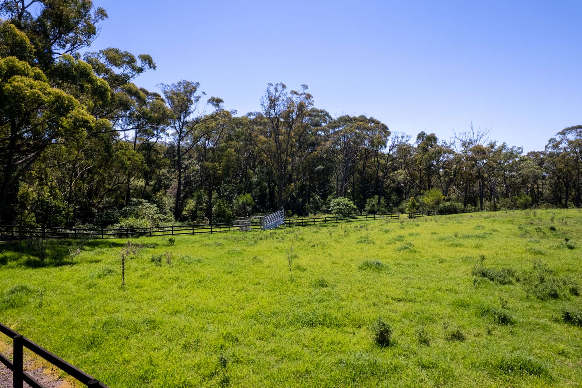 140 Hallards Road, Central Mangrove For Sale by Farmbuy.com - image 34