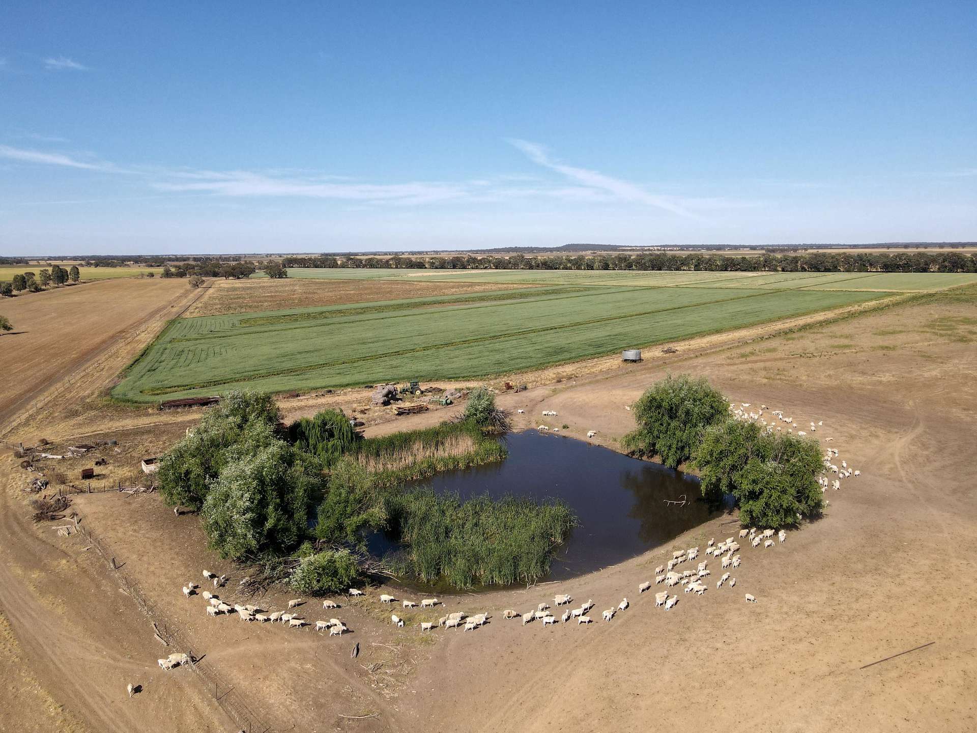 Part Farm 1051 46 Alexander Road, Murrami For Sale by Farmbuy.com - image 7