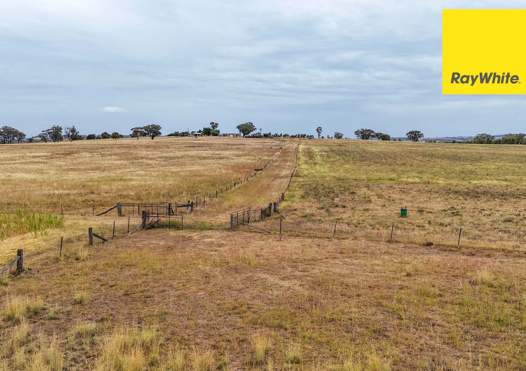 'Millfield'/122 Carl Tomes Lane, Inverell Sold by Farmbuy.com - image 22