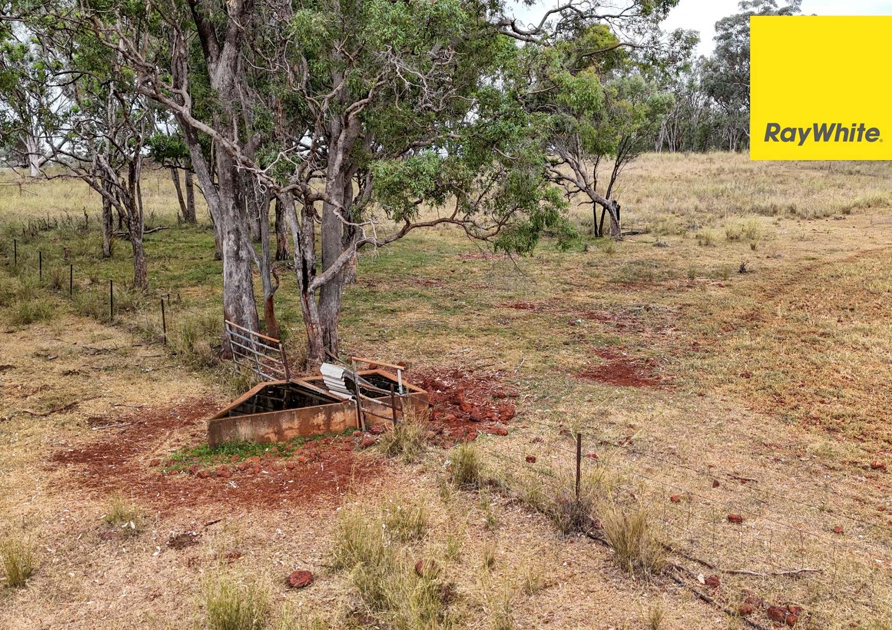 'Millfield'/122 Carl Tomes Lane, Inverell Sold by Farmbuy.com - image 23