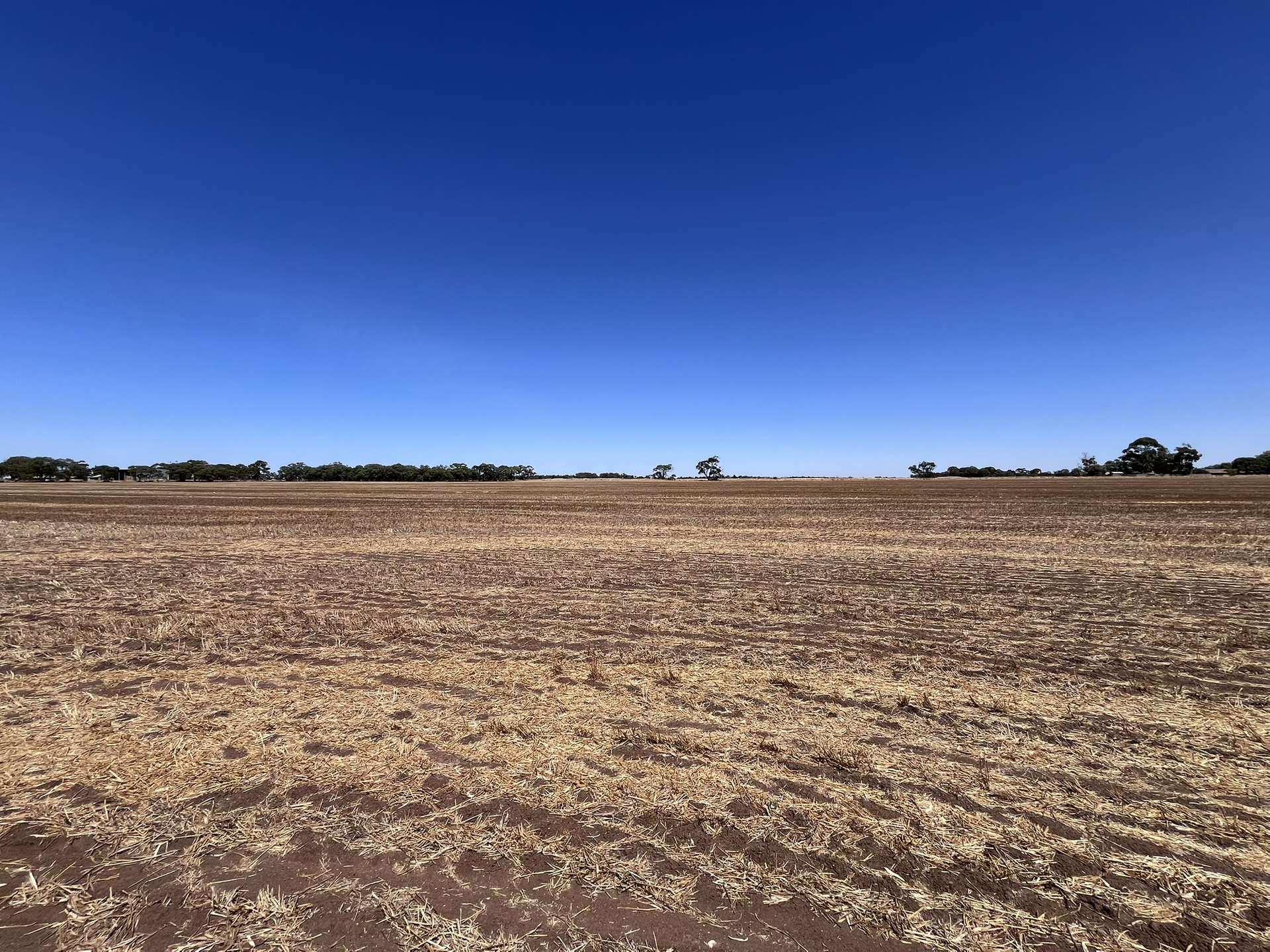 148 Lucas Road, Kangaroo Flat Sold by Farmbuy.com - image 10