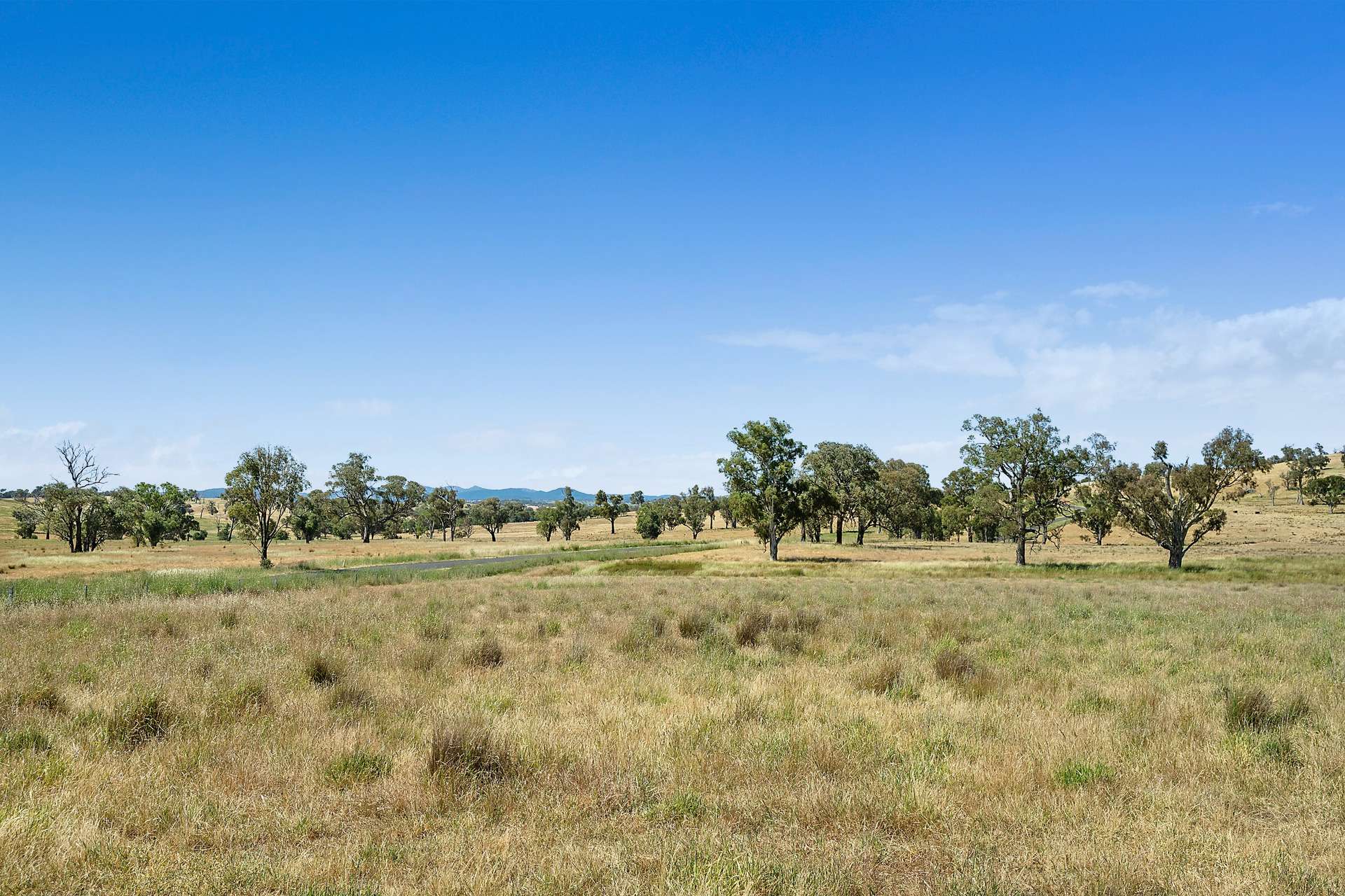 2593 Four Mile Creek Road, Orange For Sale by Farmbuy.com - image 27