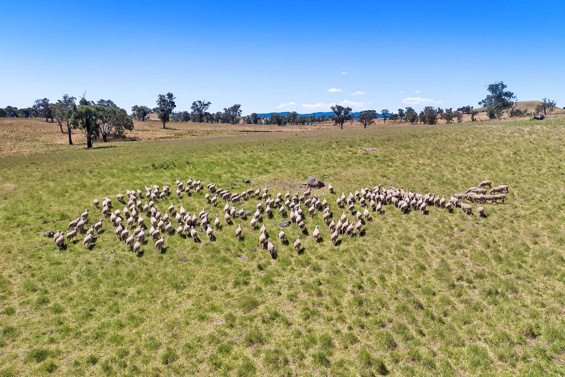2593 Four Mile Creek Road, Orange For Sale by Farmbuy.com - image 7