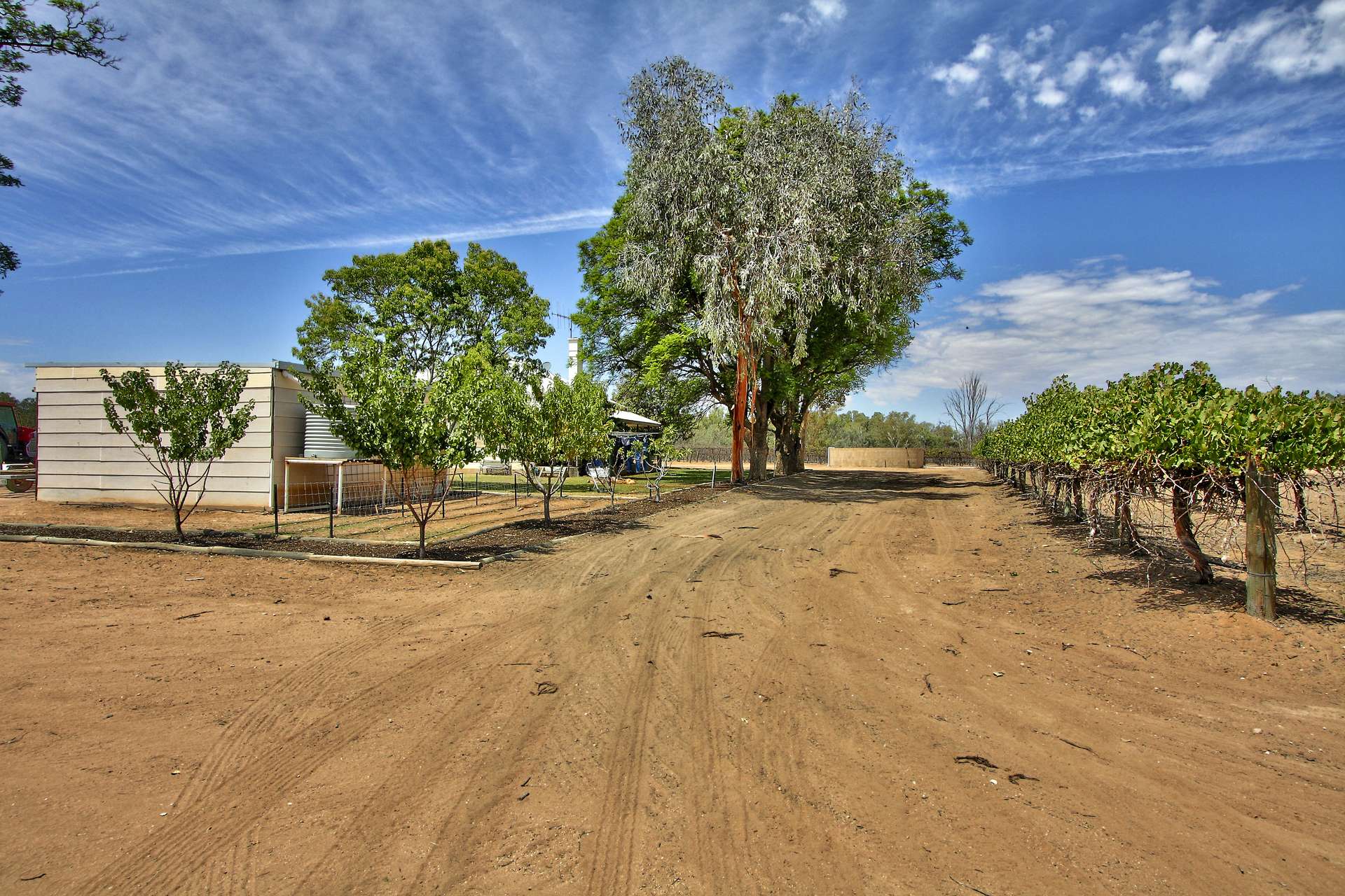 2284B Wentworth Renmark Road, Renmark For Sale by Farmbuy.com - image 11