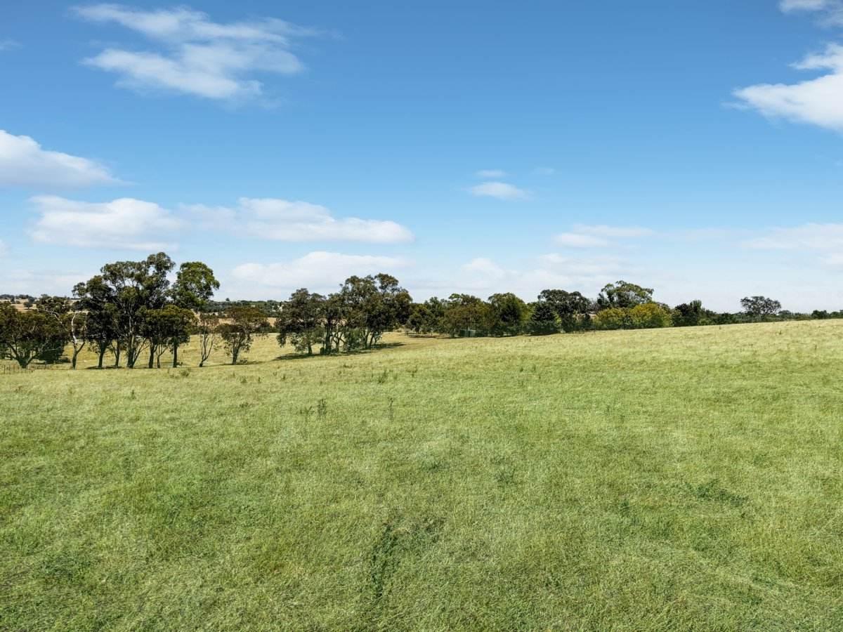 93 Donges Road, Young Sold by Farmbuy.com - image 8