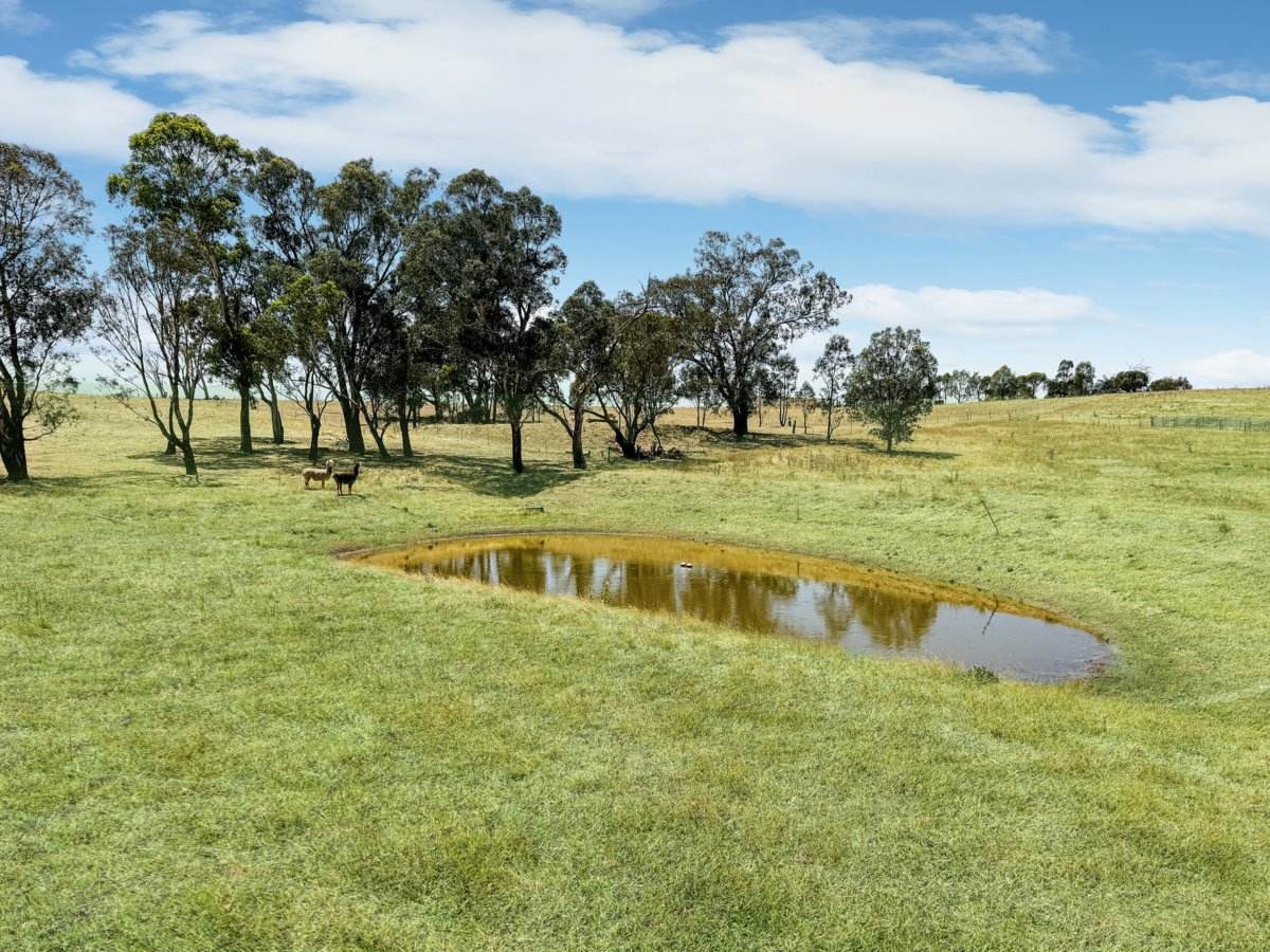 93 Donges Road, Young Sold by Farmbuy.com - image 4