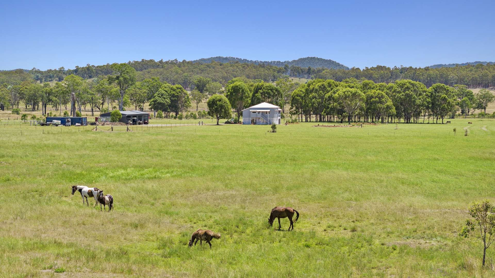 66 Tuites Lane, Biarra For Sale by Farmbuy.com - image 3