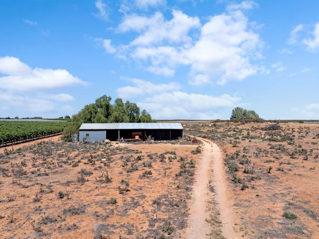 115 Rowland Road, Ramco Heights For Sale by Farmbuy.com - image 6
