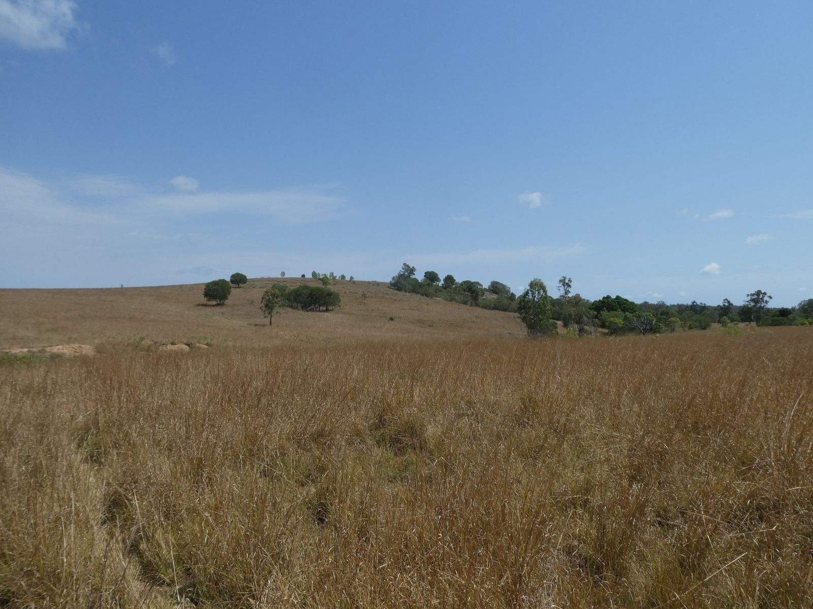 35 Mahoneys Road, Bucca For Sale by Farmbuy.com - image 9