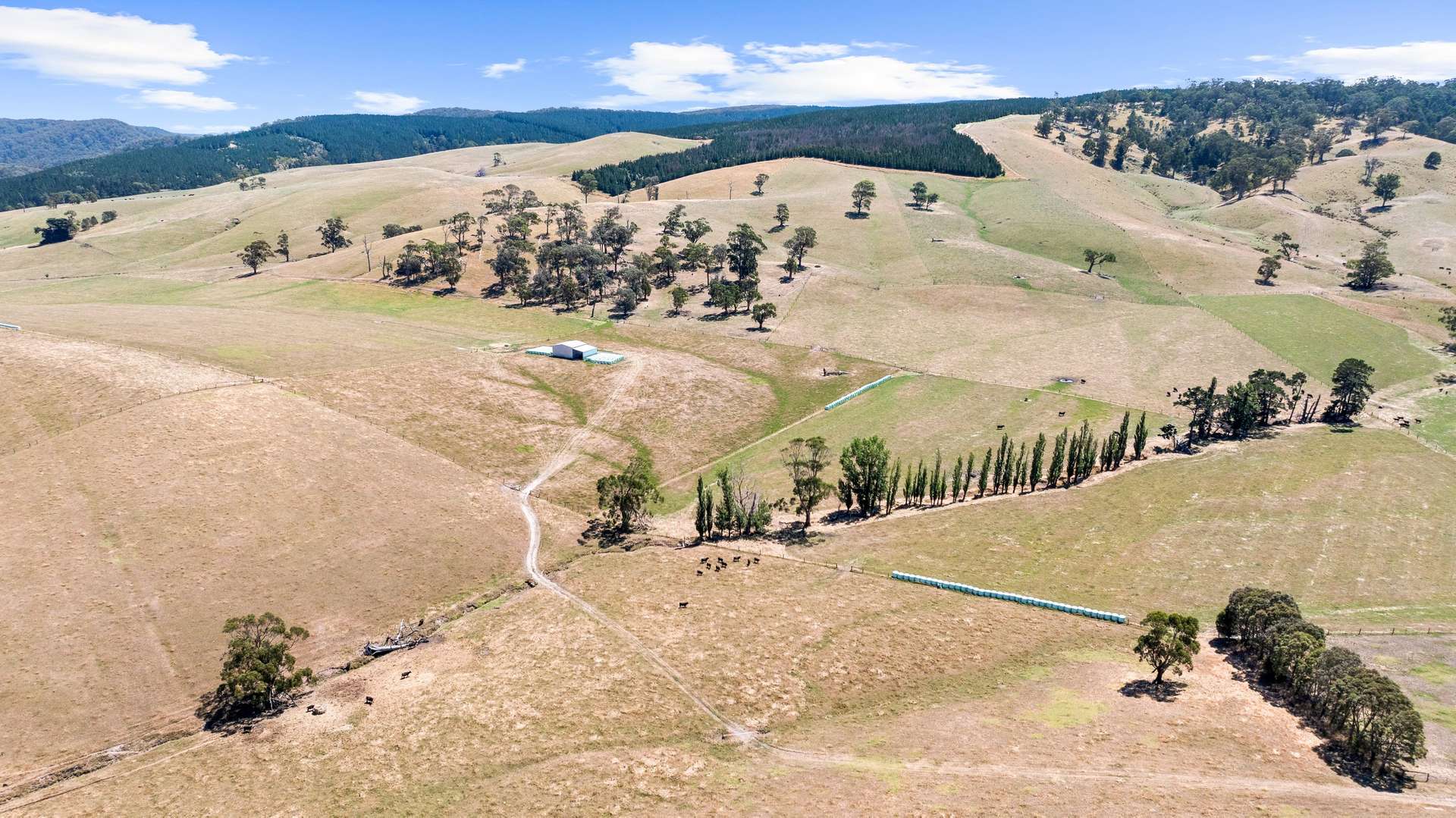 945 Brown Coalmine Road, Tyers Sold by Farmbuy.com - image 5