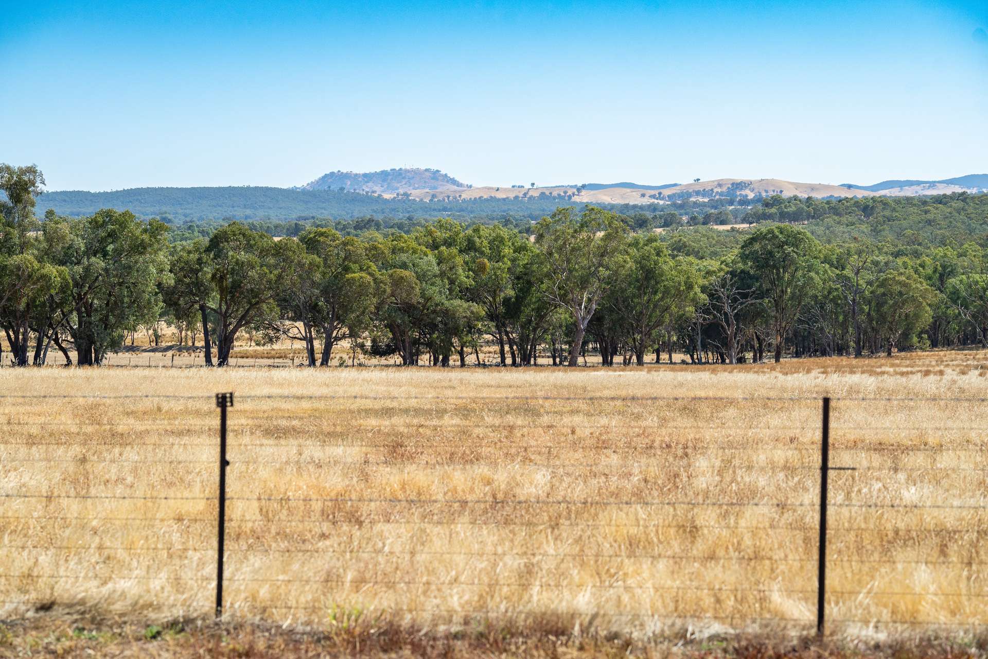 175 Toveys Road, Chiltern Sold by Farmbuy.com - image 18