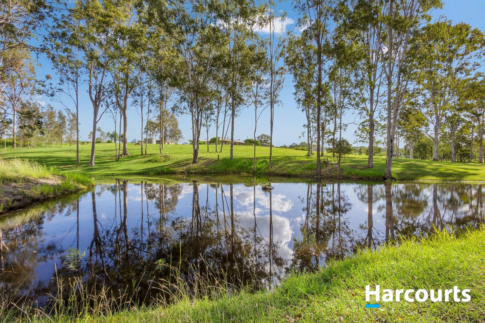 18 Marshall Avenue, Maroondan For Sale by Farmbuy.com - image 20