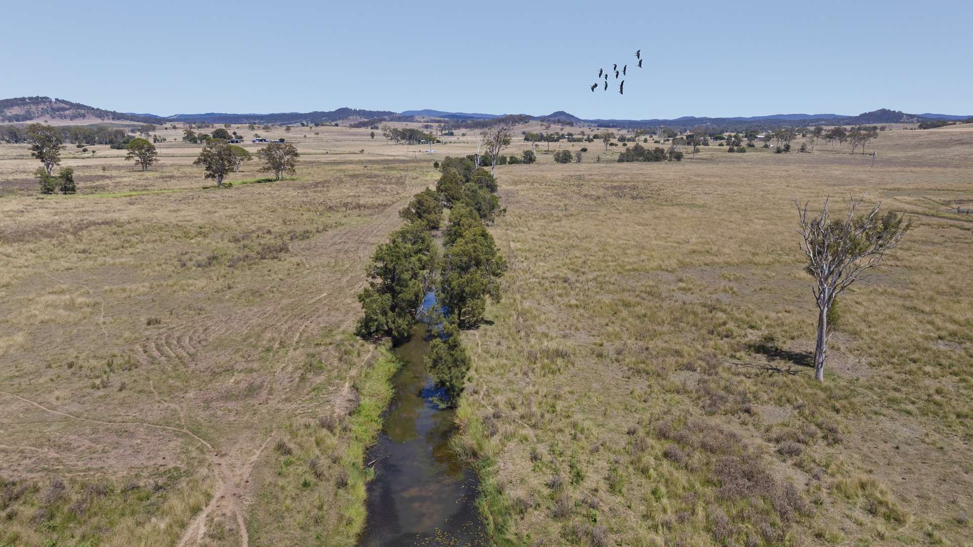 66 Esk Crows Nest Road, Biarra For Sale by Farmbuy.com - image 7