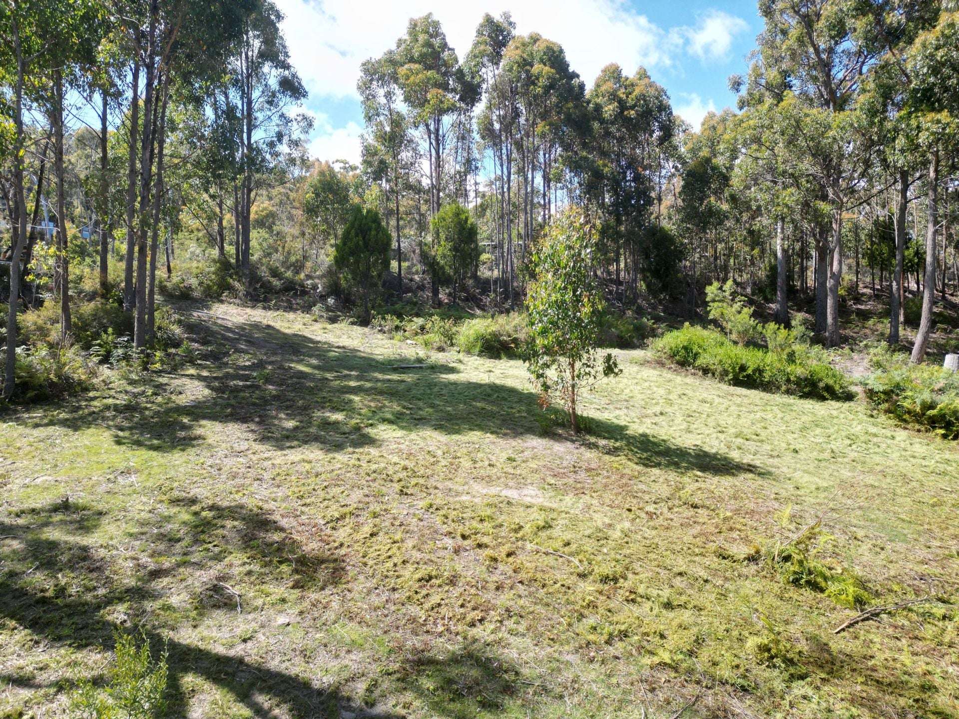 1 Woodland Grove, Tugrah For Sale by Farmbuy.com - image 10