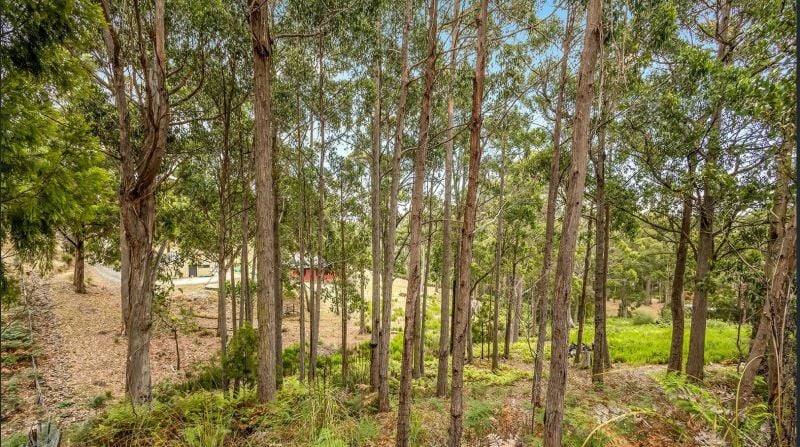 1 Woodland Grove, Tugrah For Sale by Farmbuy.com - image 8